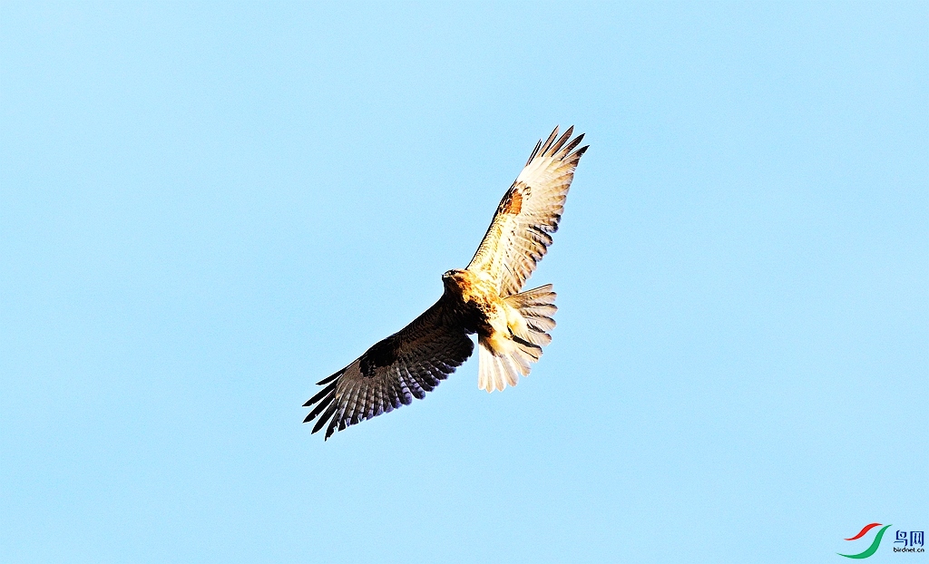 DSC_1851.JPG