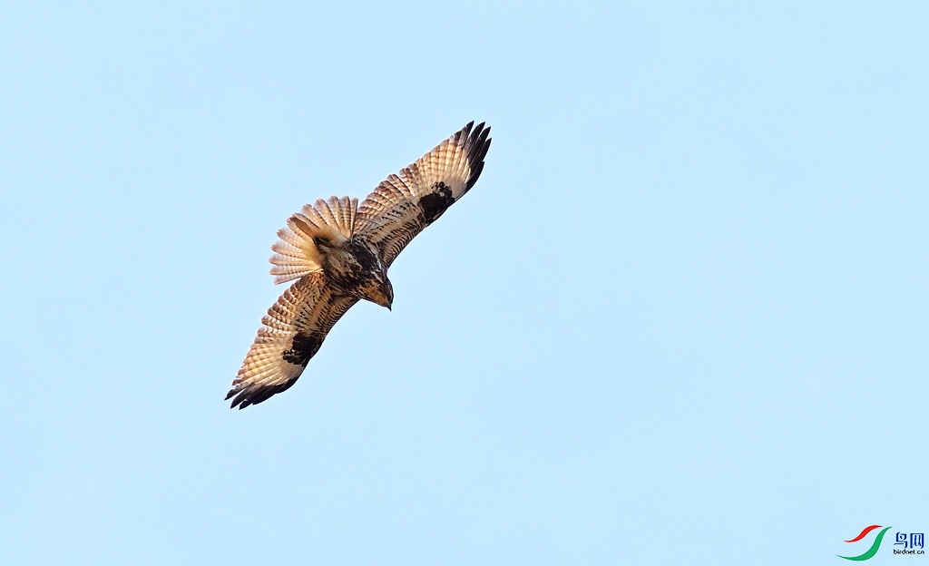 DSC_1871.JPG