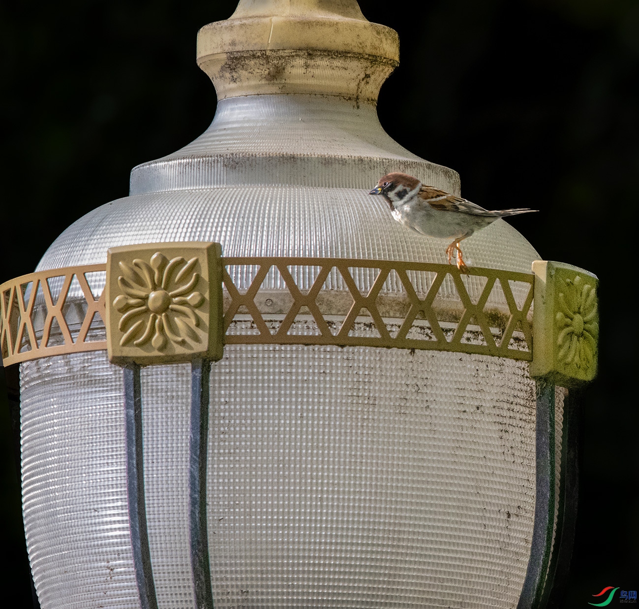 _DSC5966_��ͼ�� ���� 2.jpg