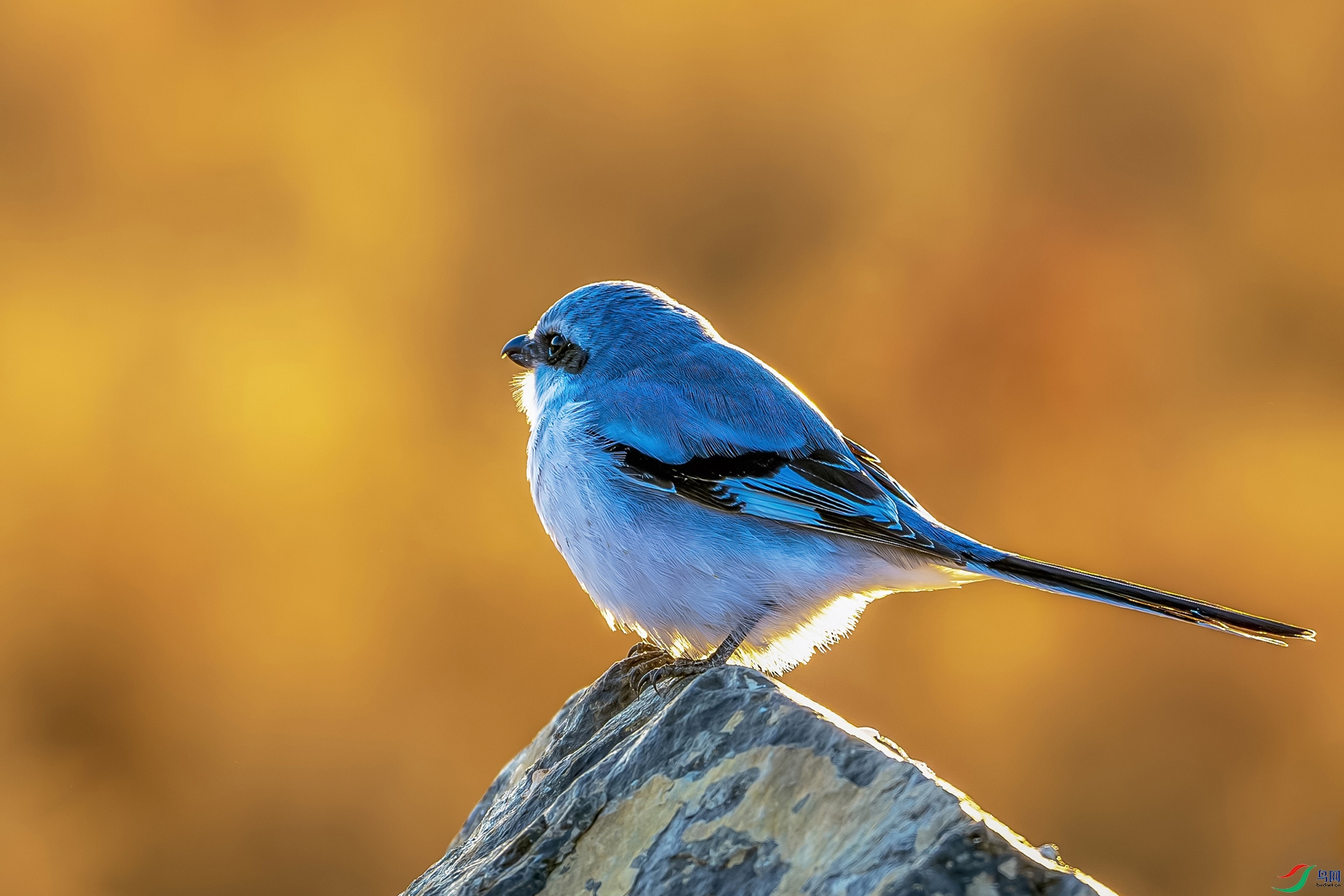 DSC3609-NR ����.jpg