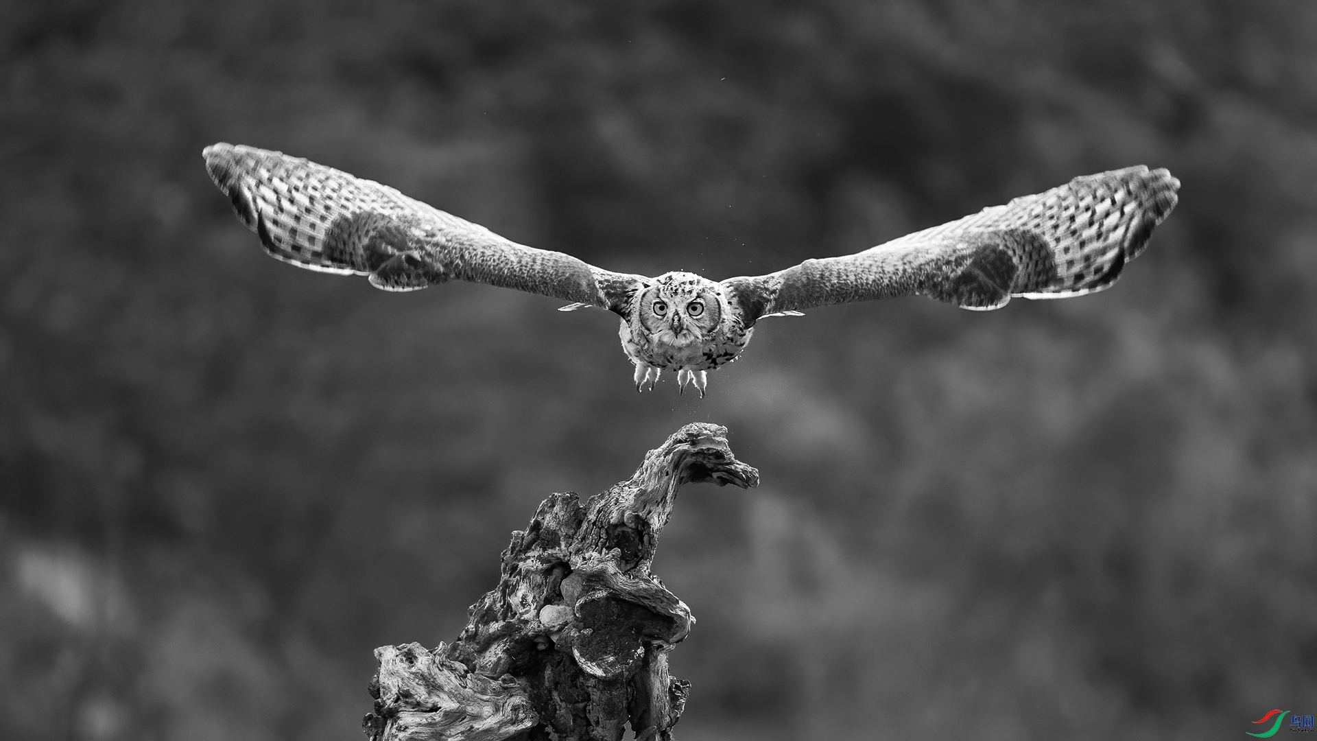 DSC_9880-2-20250730�ü� .jpg