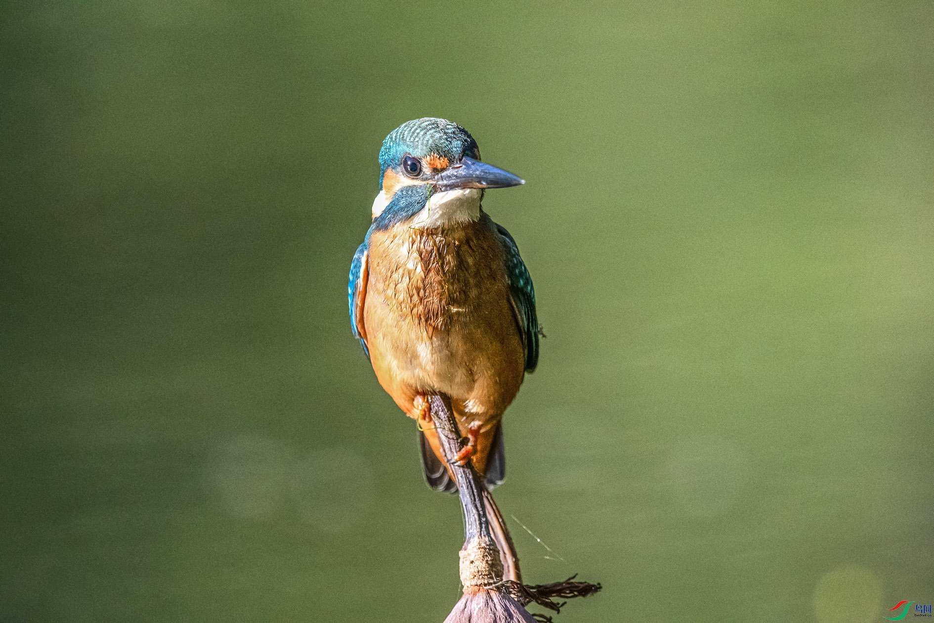 _DSC8698 ����.jpg