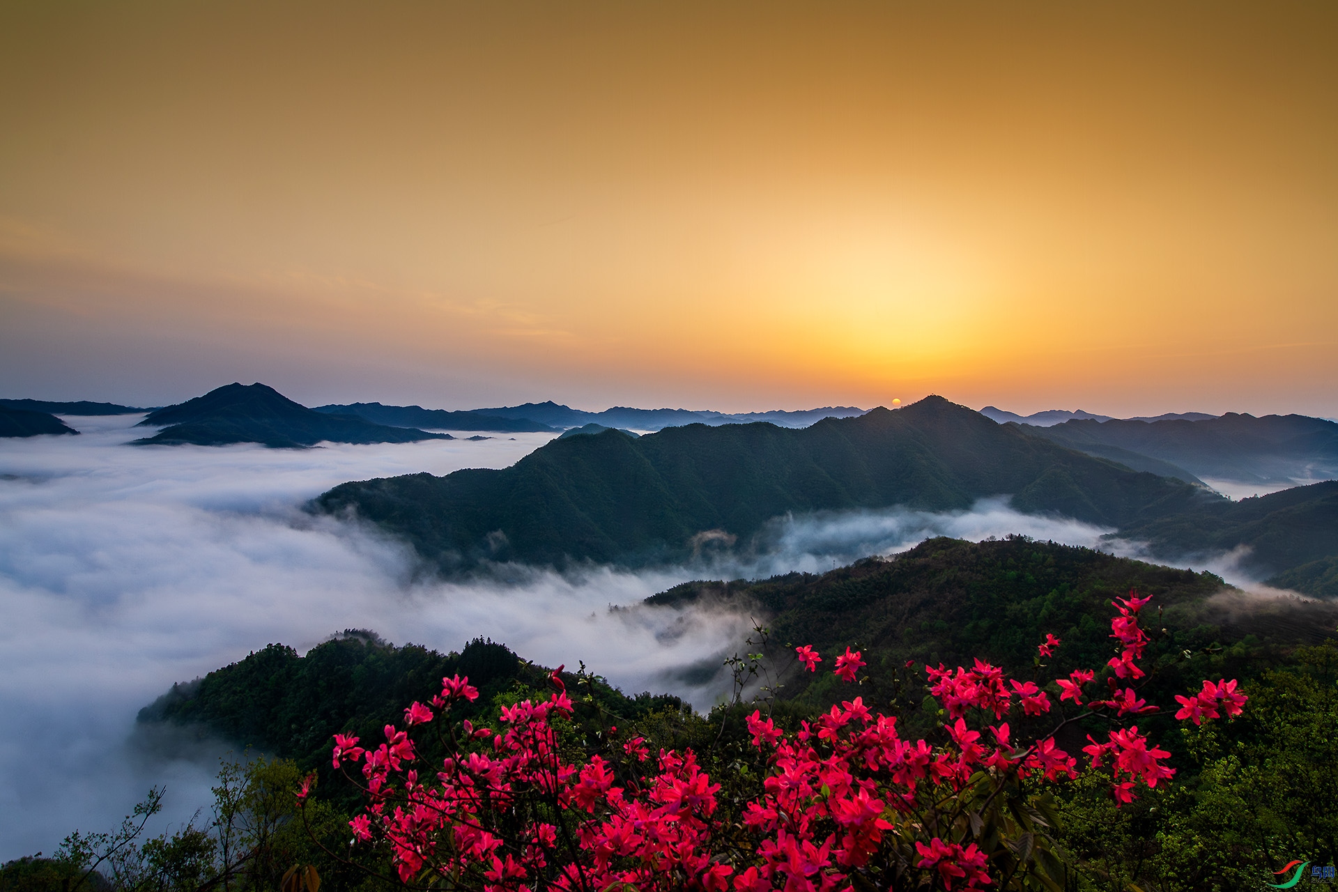 _MG_1269 ����.jpg