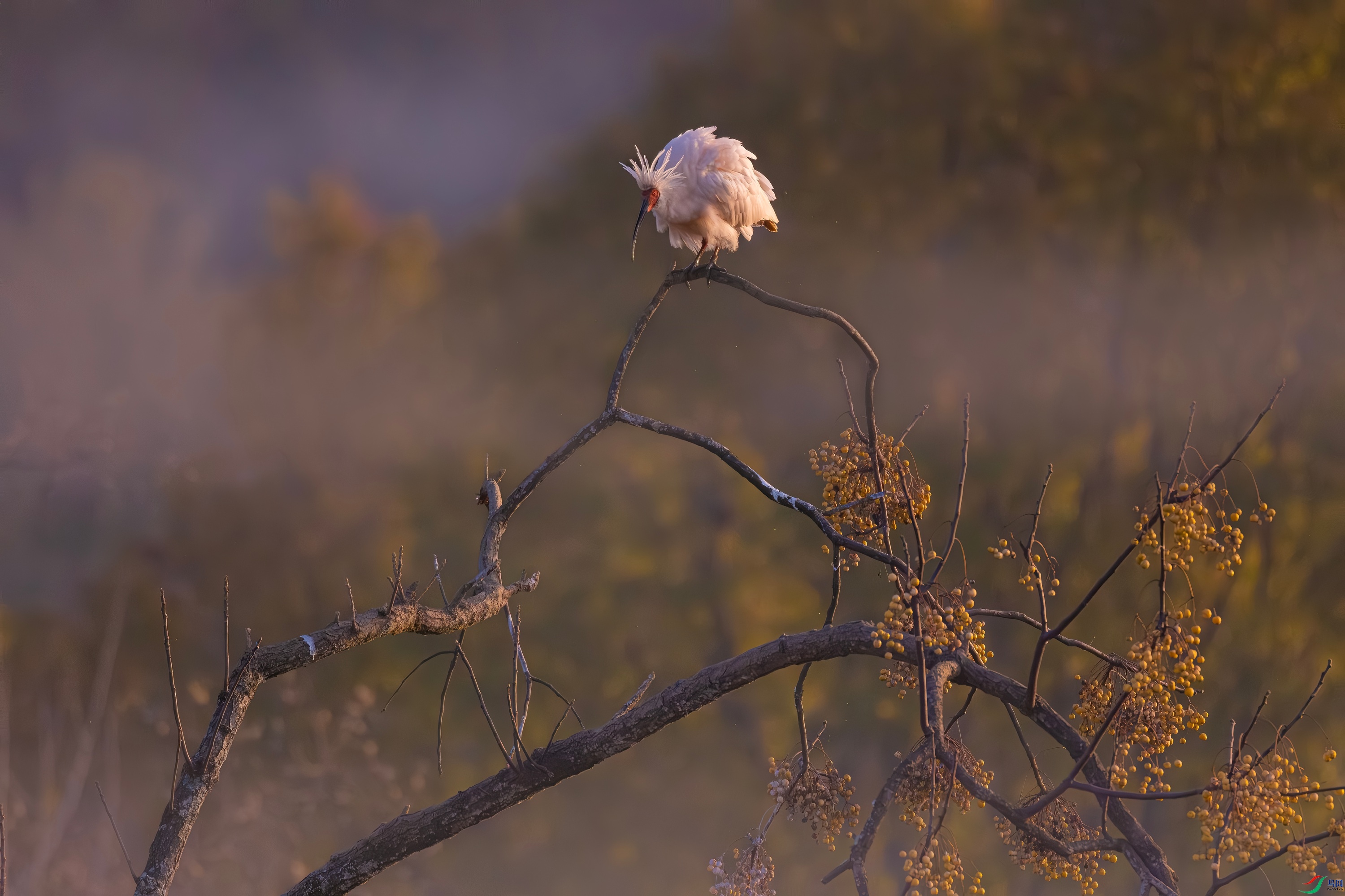 DSCF5531.jpg