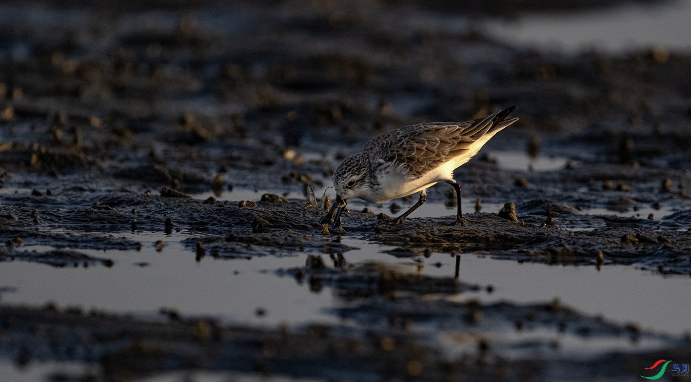 _DSC4061 ����.jpg