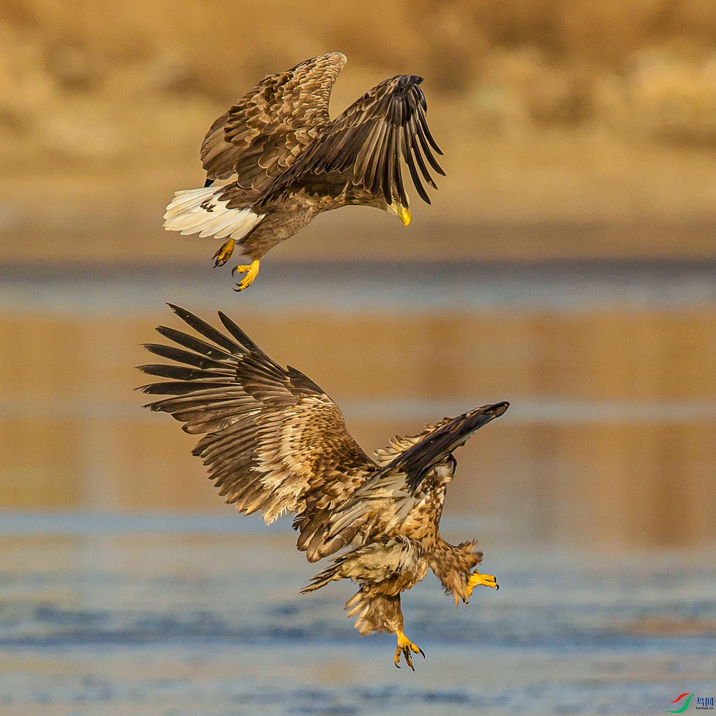 _MG_2315 ����.jpg