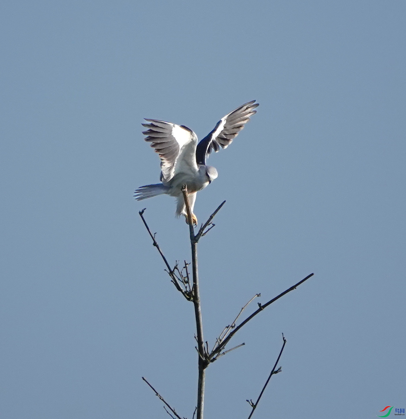DSC09274.JPG