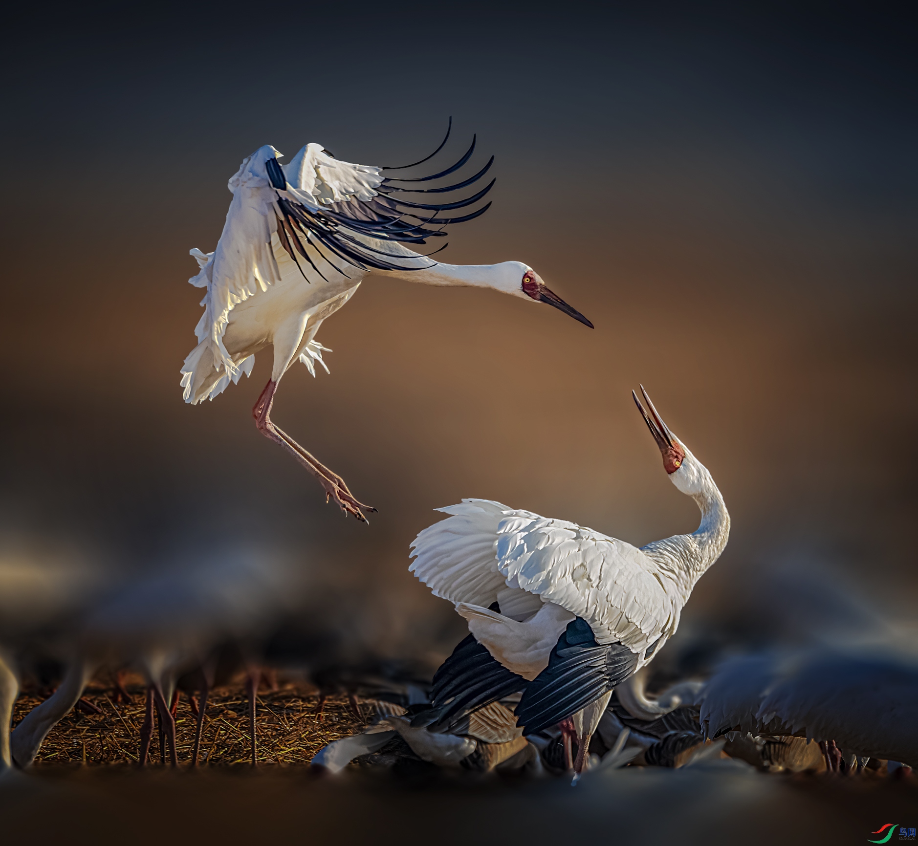 ����һ��