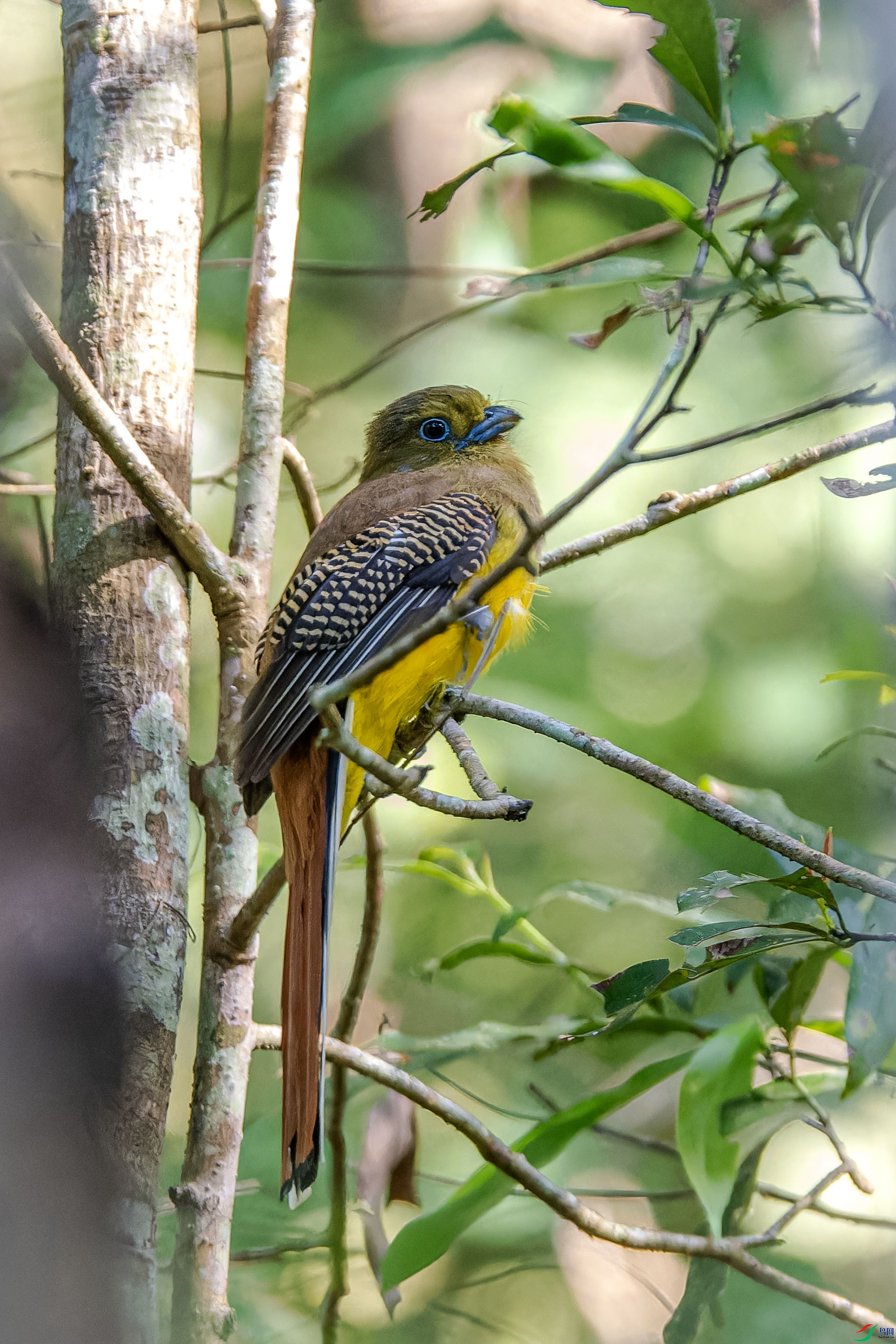 DSC_5061-NEF_DxO_DeepPRIMEXD ����.jpg
