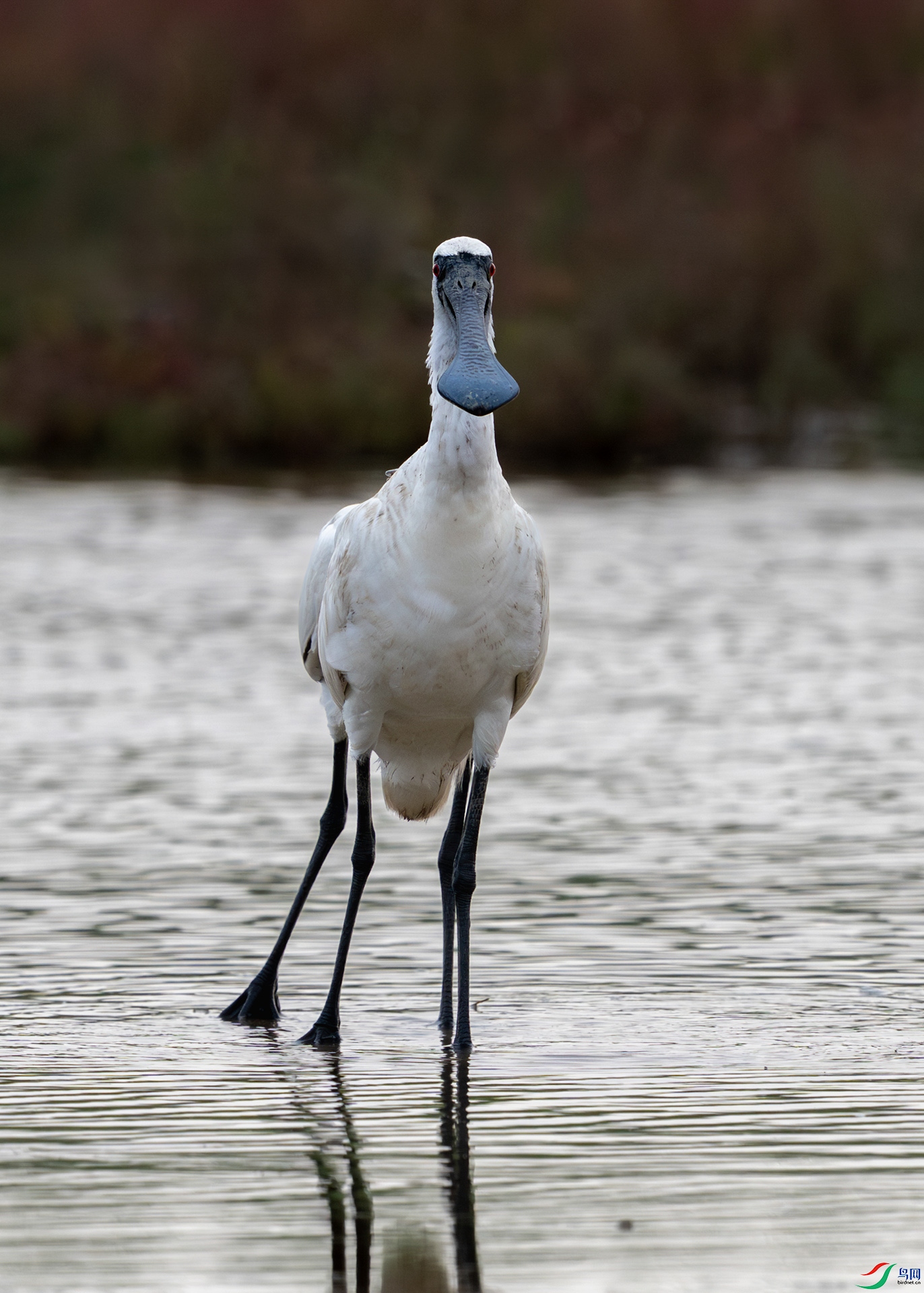 _DSC1910 �����ȴ��� ����.jpg