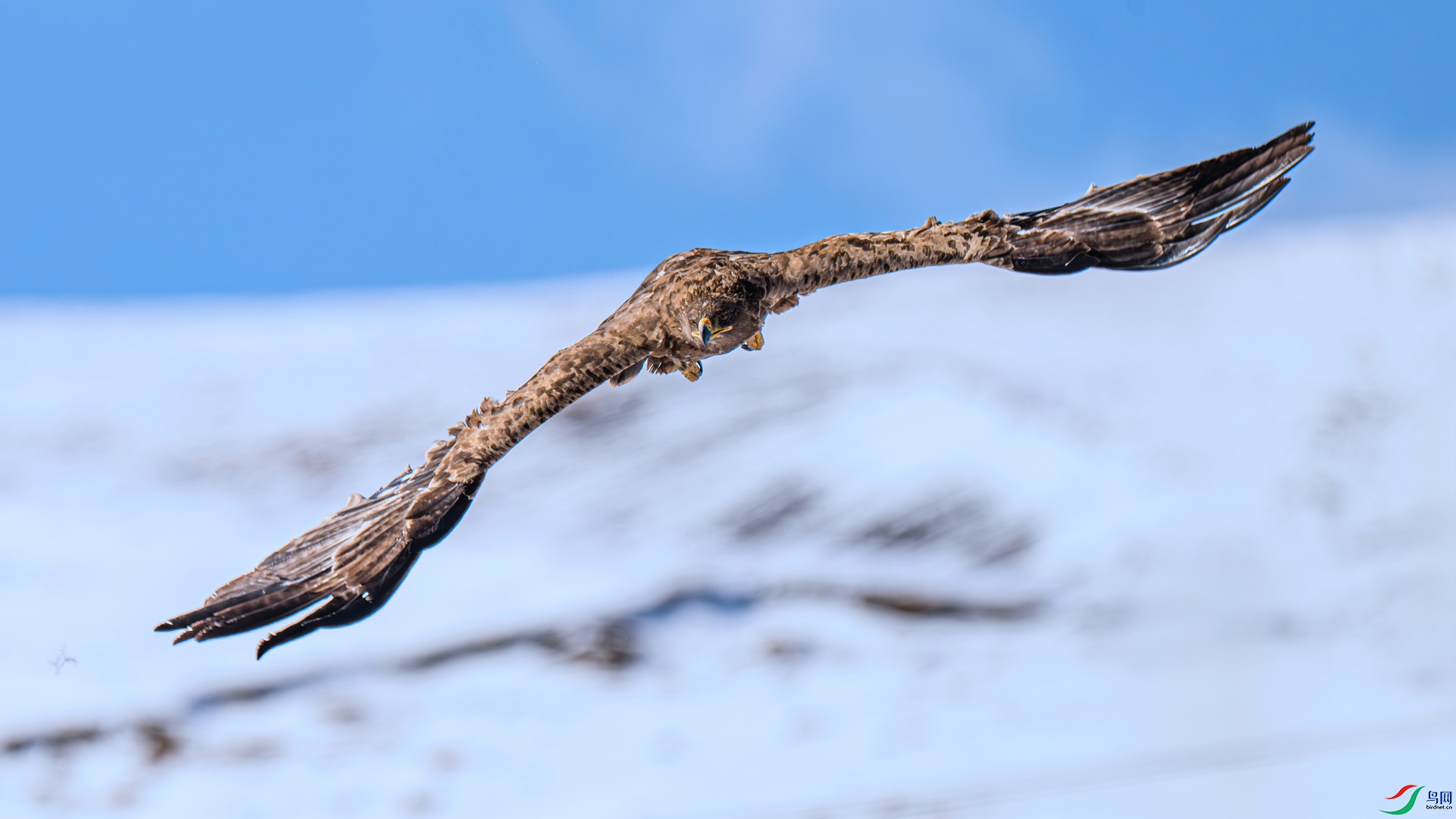 DSC_1712 ����_����.jpg