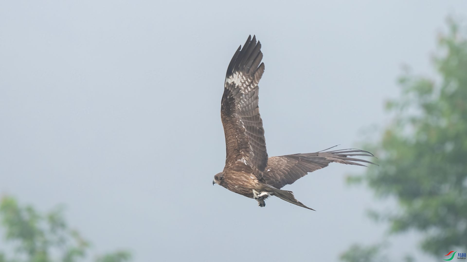 DSC06059 ����.jpg