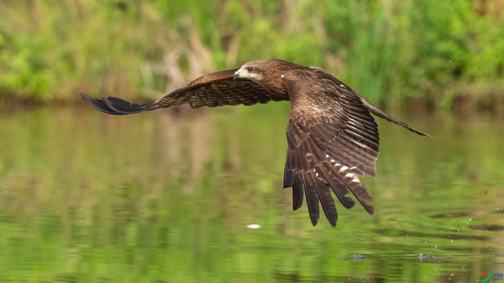 DSC06737 ����.jpg