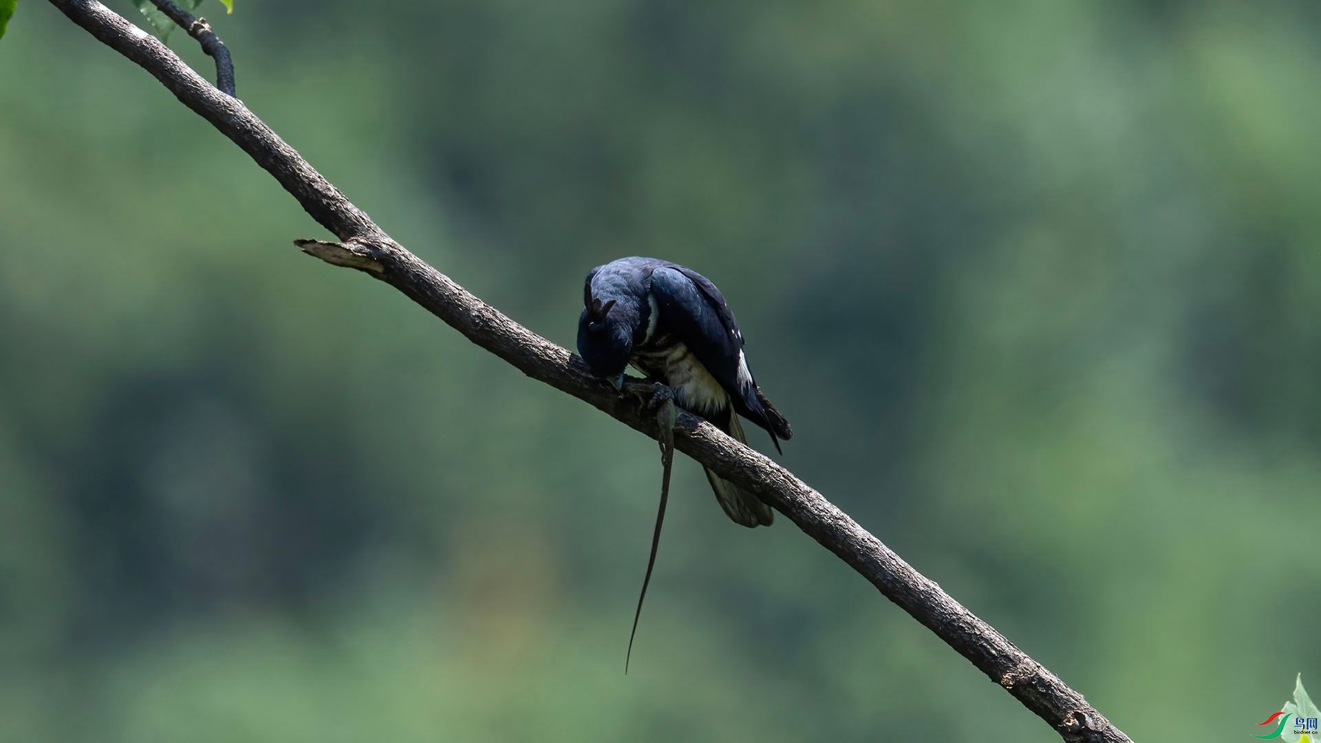 _WGB9770 ����.jpg