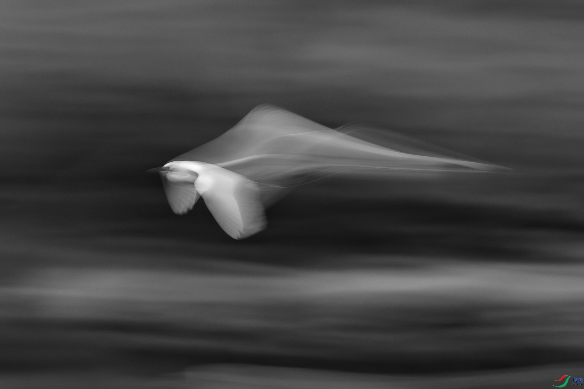 C08702-2.jpg
