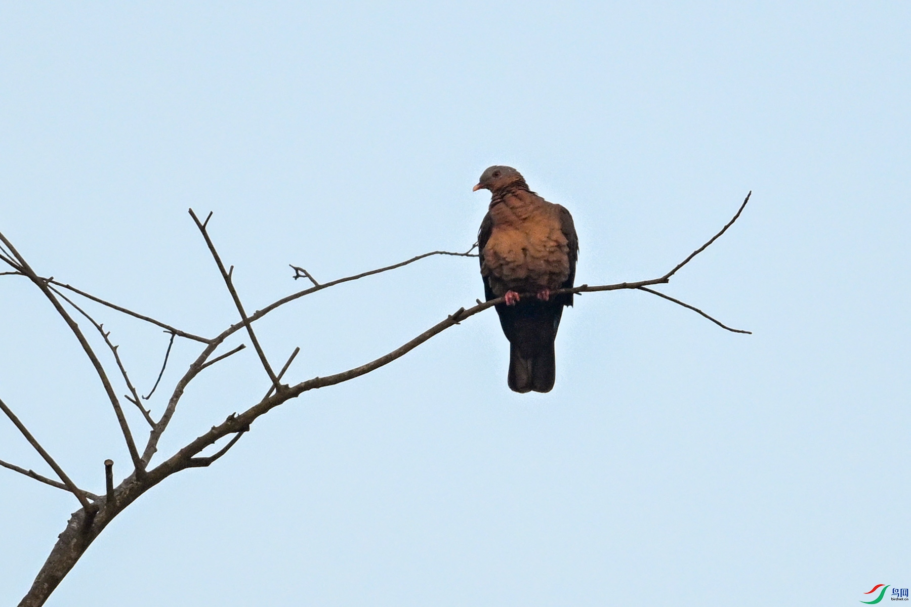 DSC_6014.JPG