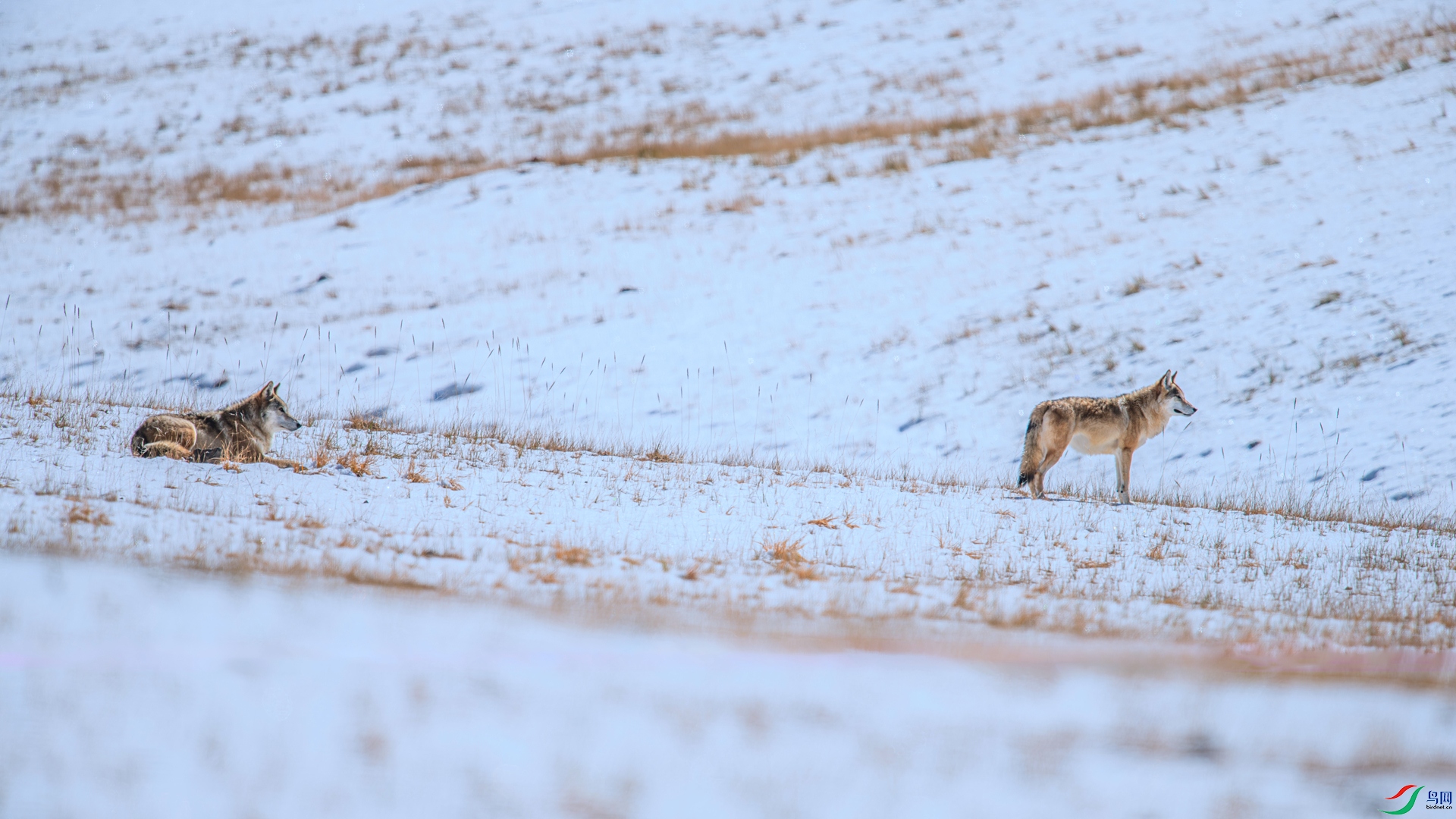 _DSC8092 ����_����.jpg