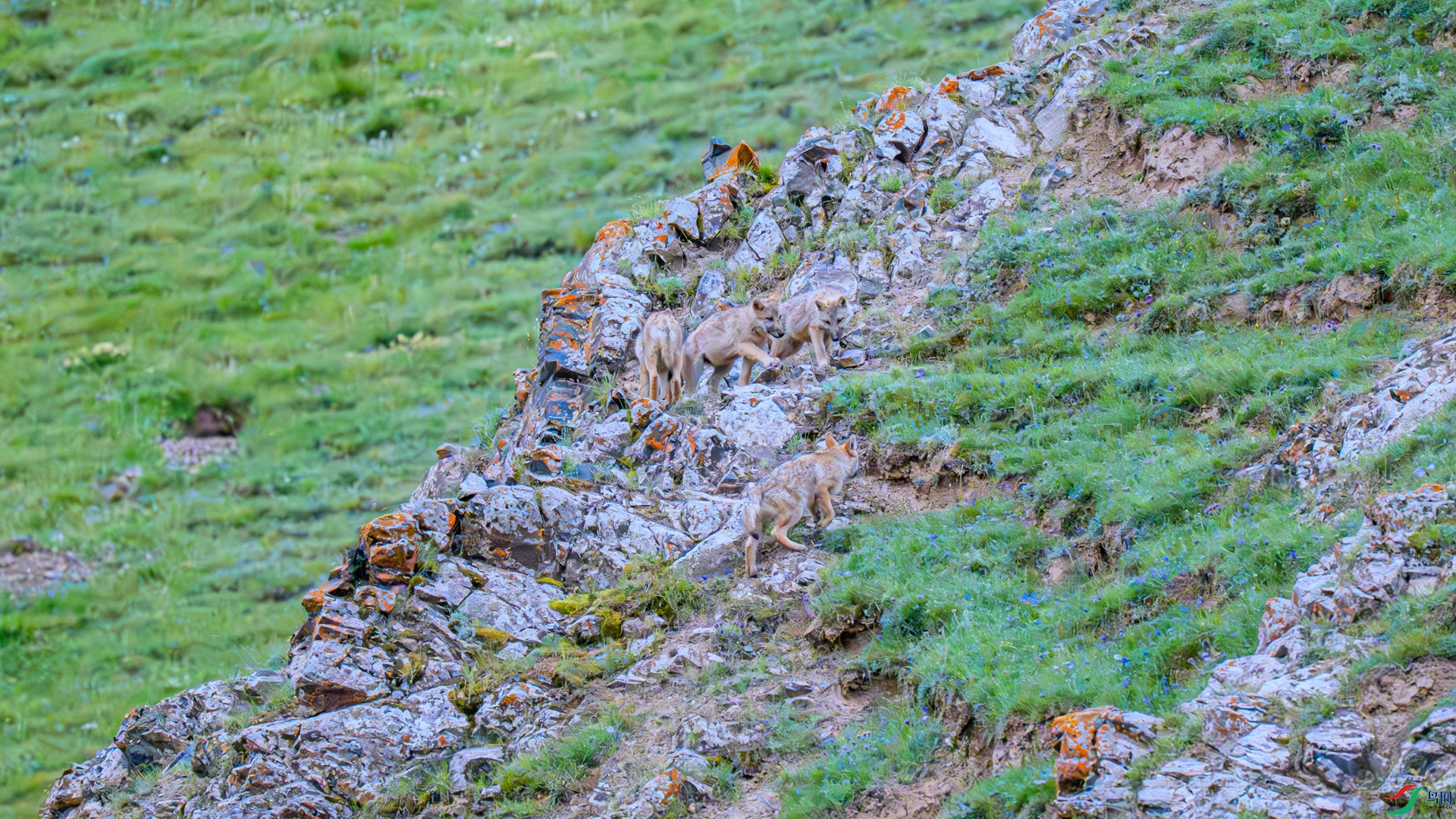 _DSC9413 ����_����_����.jpg