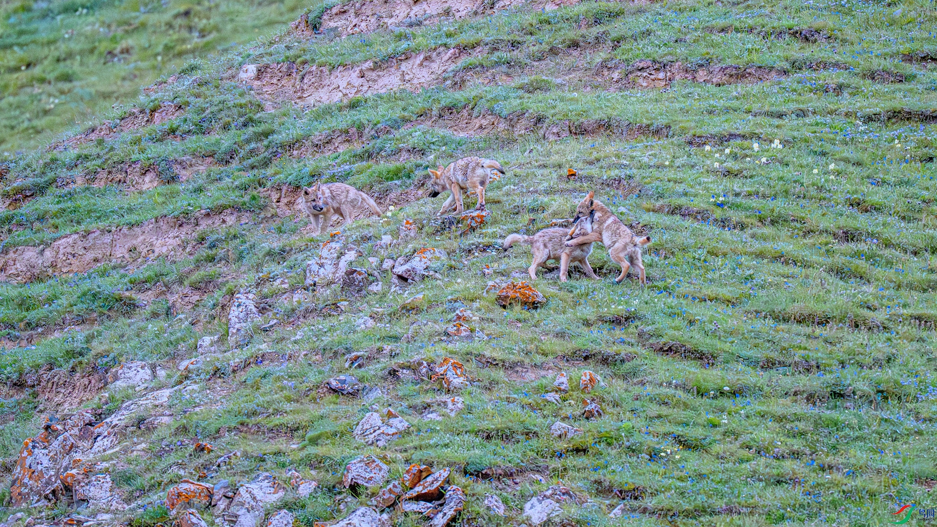 _DSC9597 ����_����_����.jpg