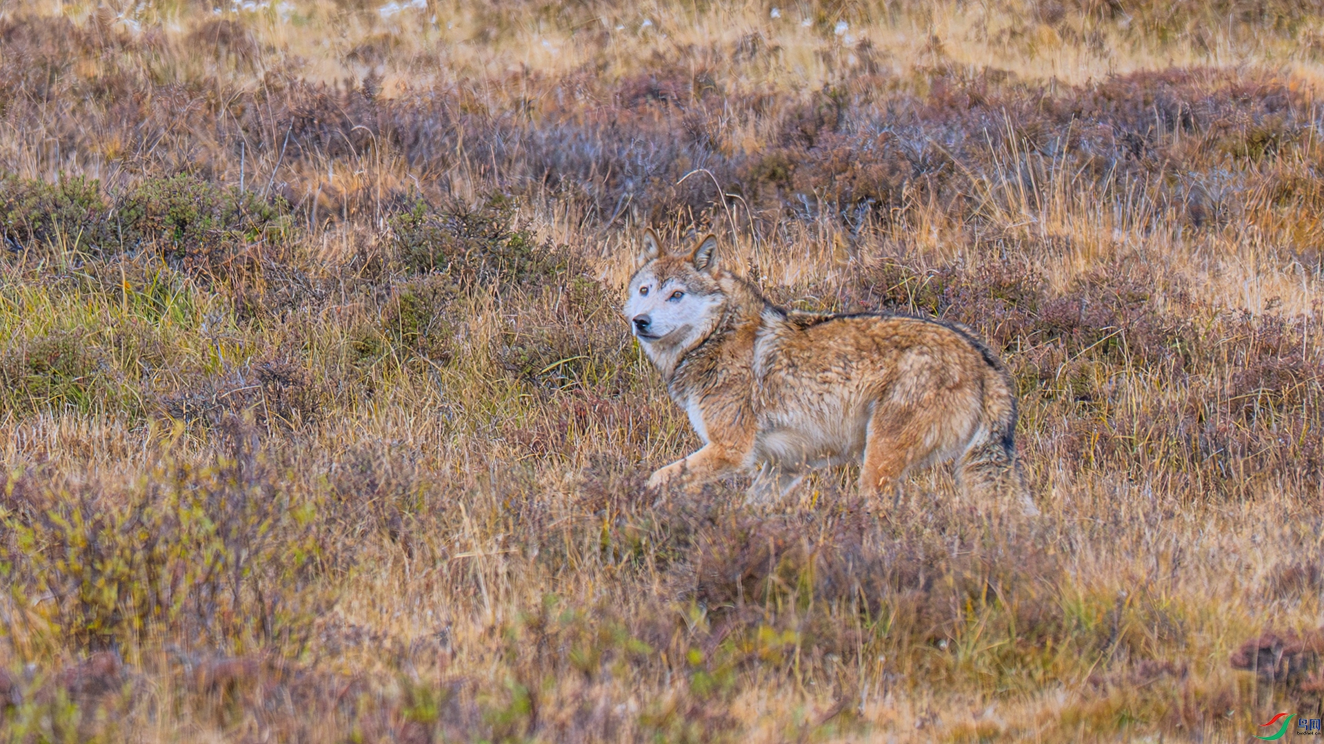 DSC_7671 ����_����.jpg