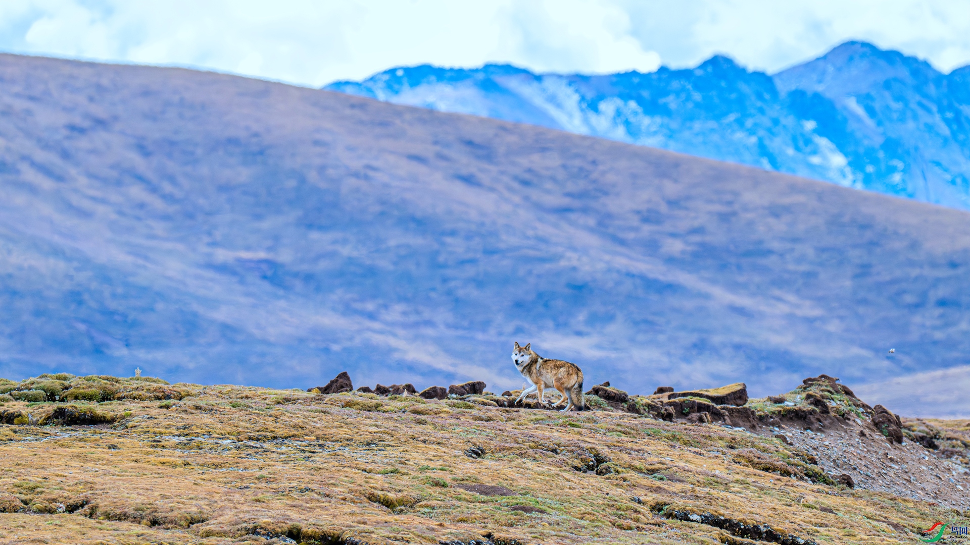 DSC_7926 ����_����.jpg