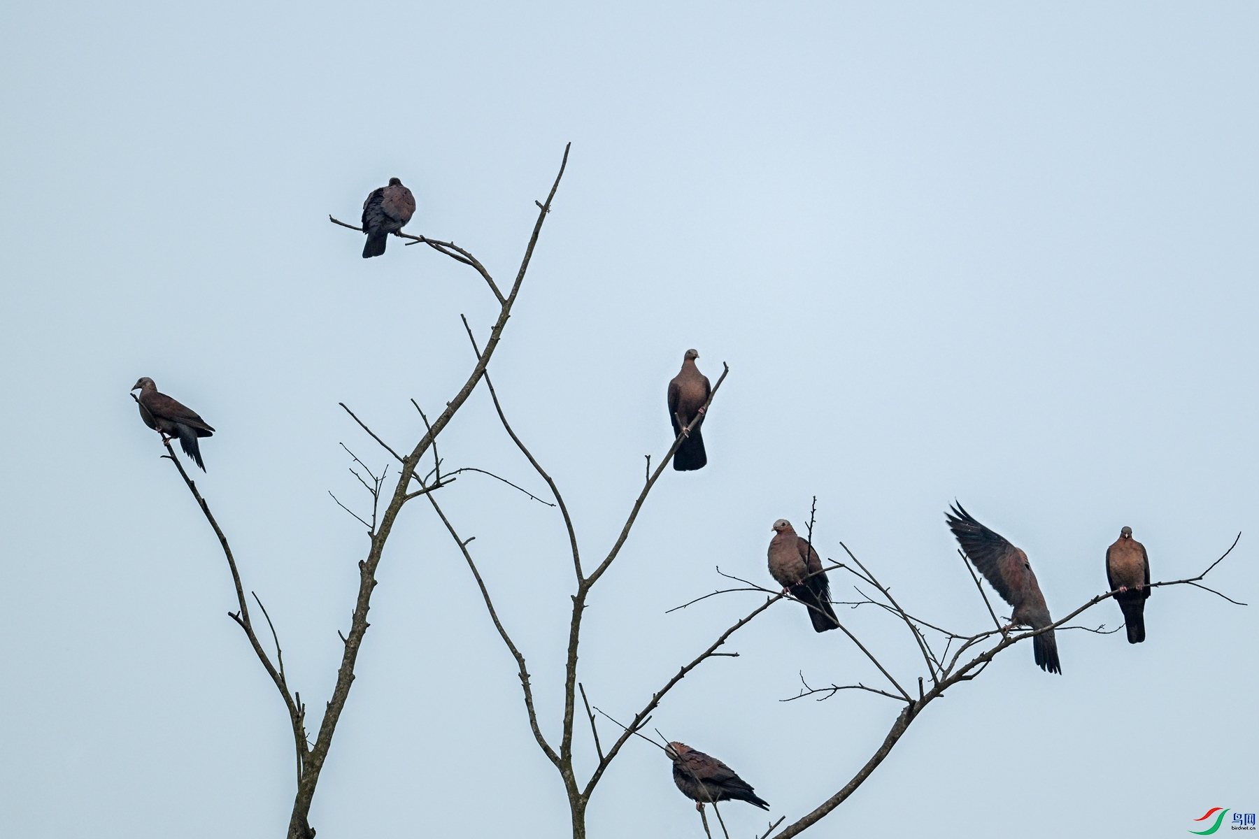 DSC_6026.JPG