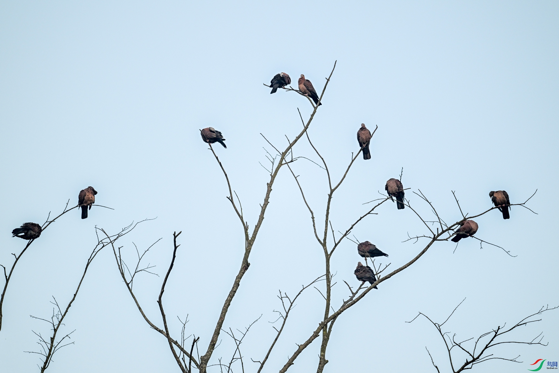 DSC_6035.JPG