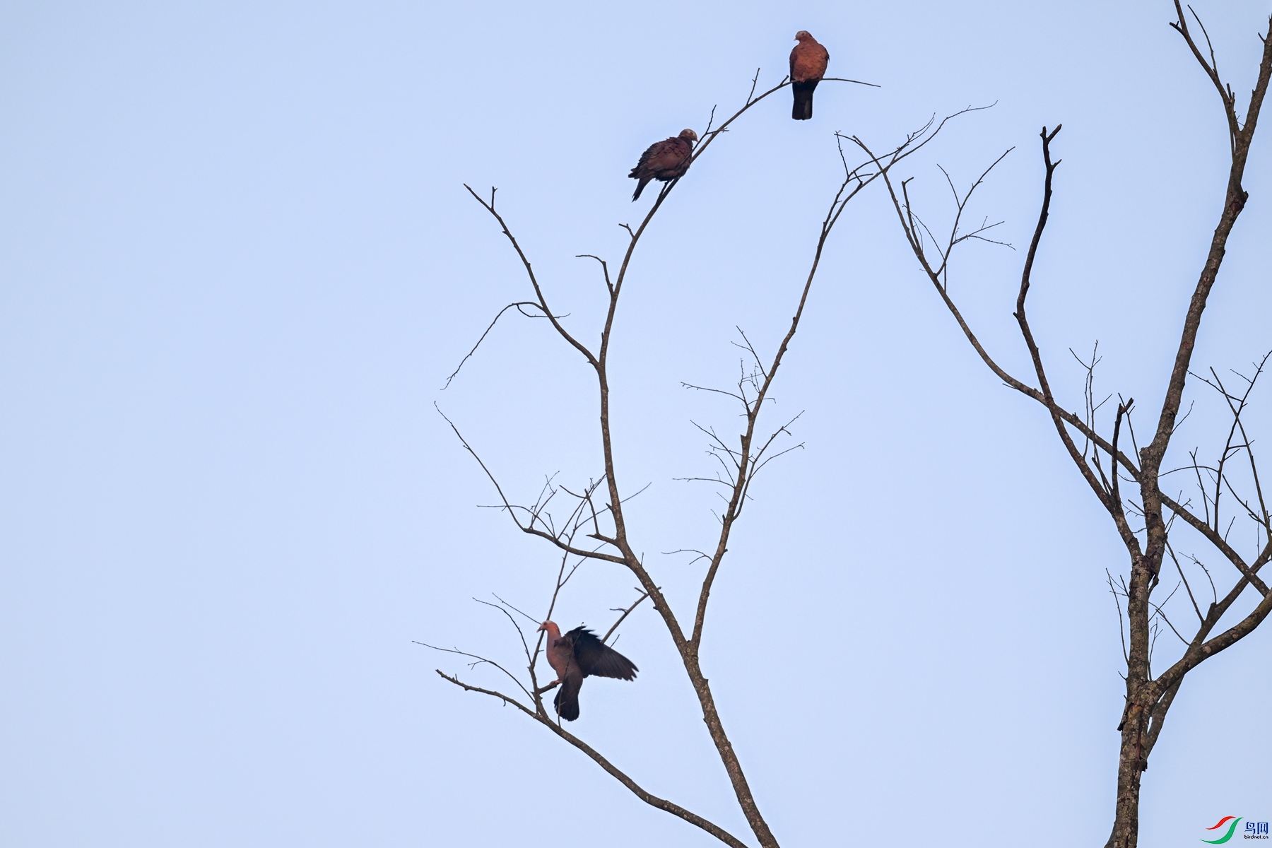 DSC_6039.JPG