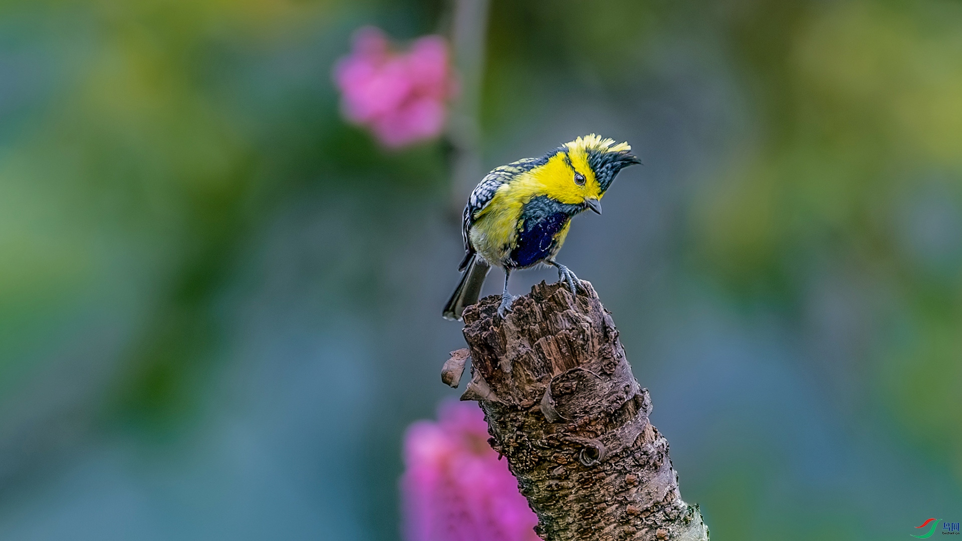 1I9A6350-1ab.jpg