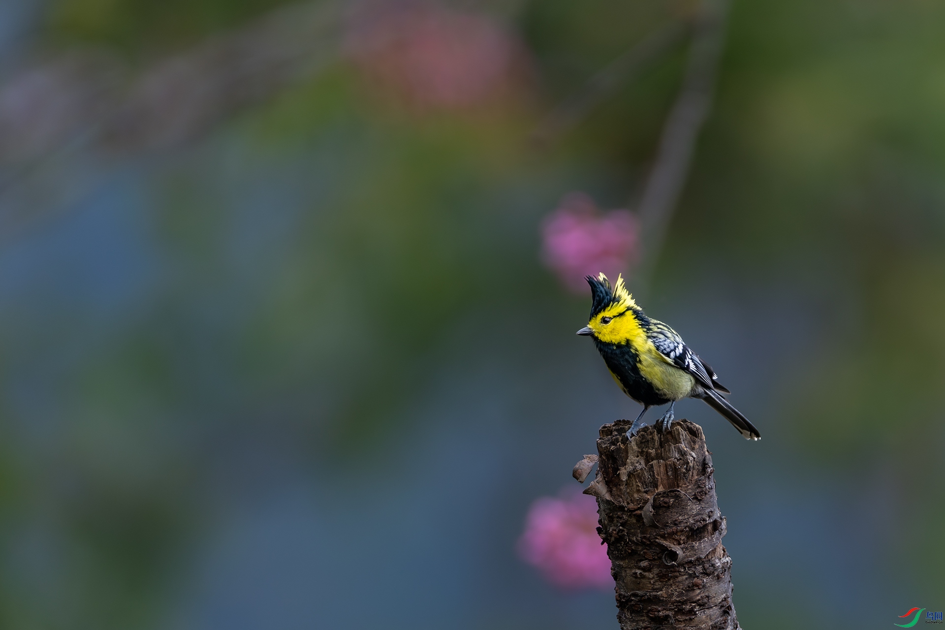 1I9A6370-1ab.jpg