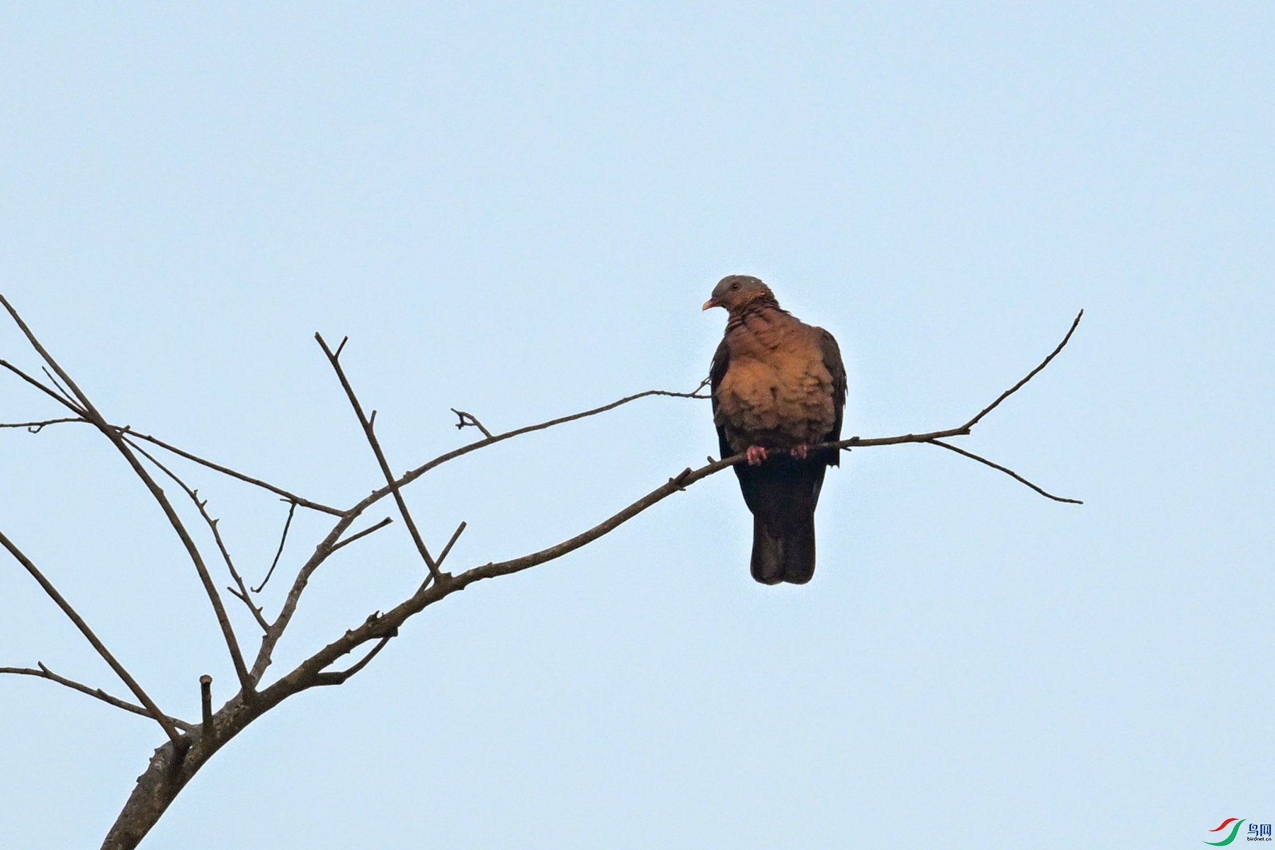 DSC_6015.JPG