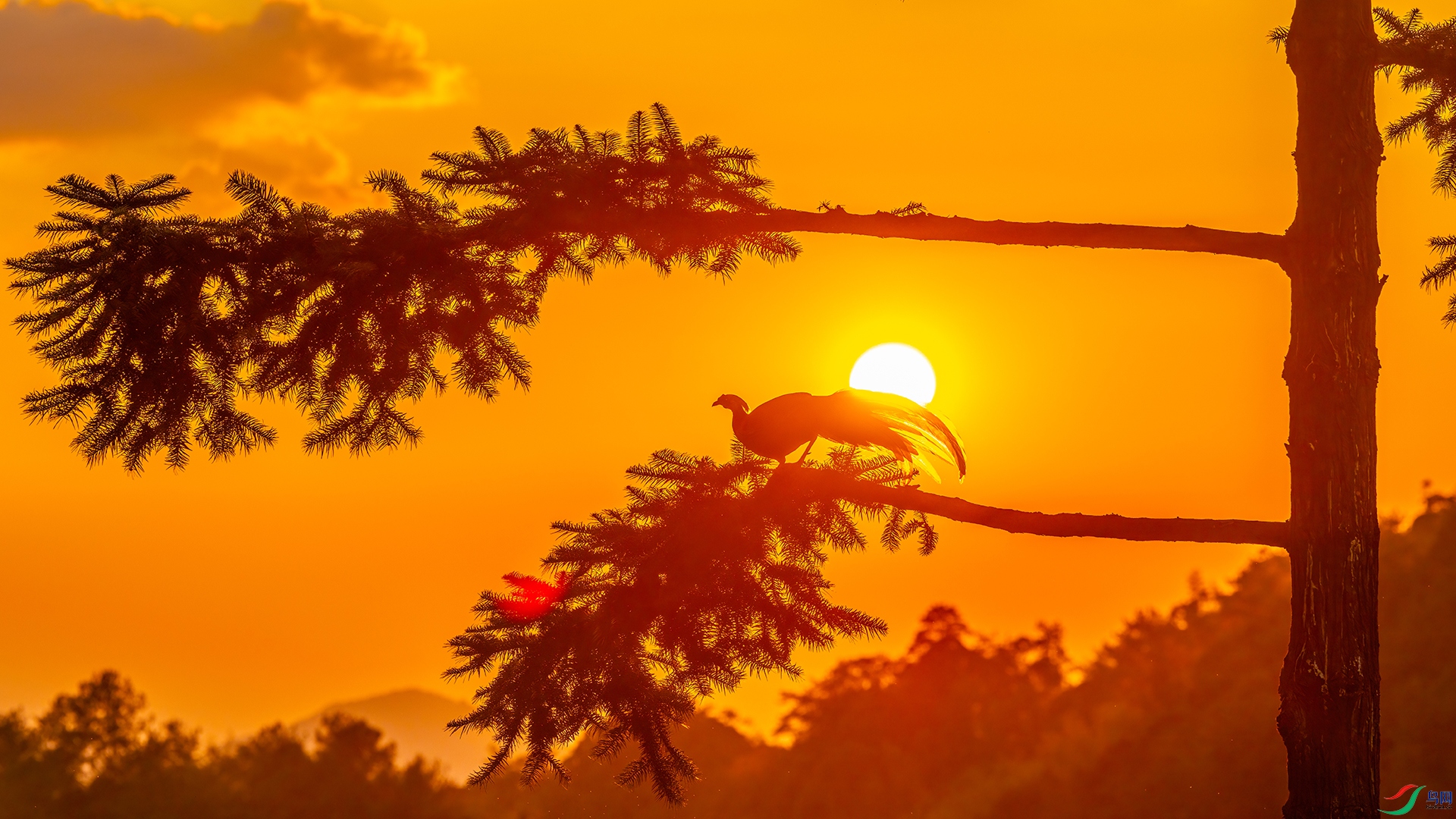 ɽҰ���� ���չ���.jpg