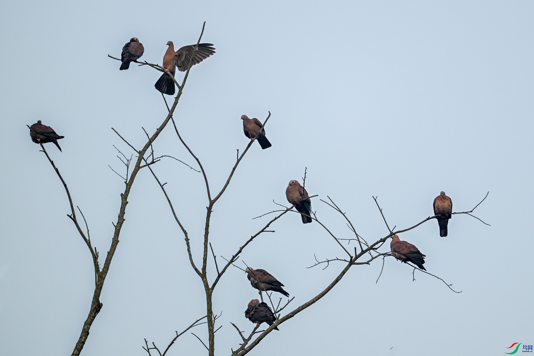 DSC_6032.JPG