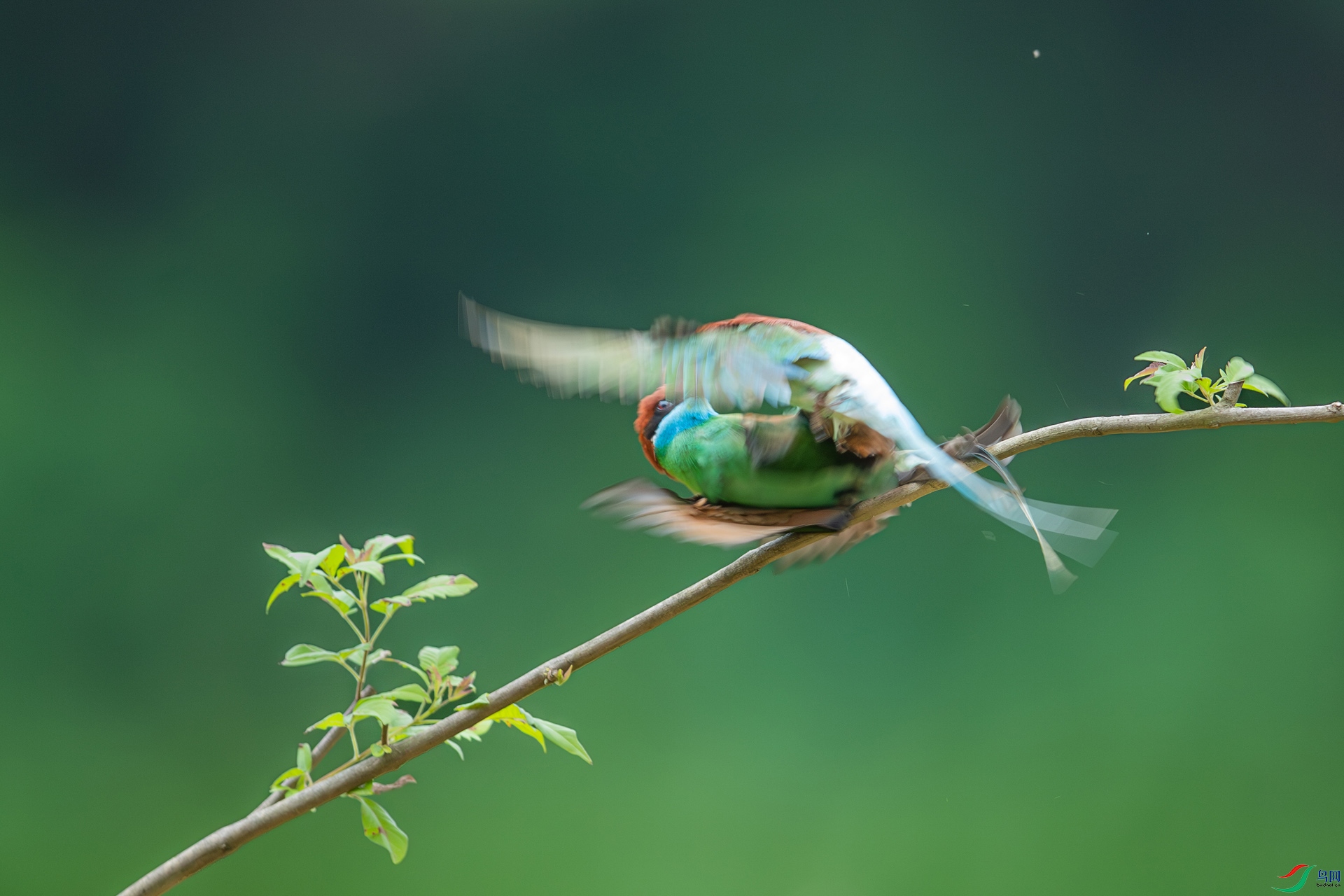 DSC_9506-����ǿ-NR�����һ�š�.jpg