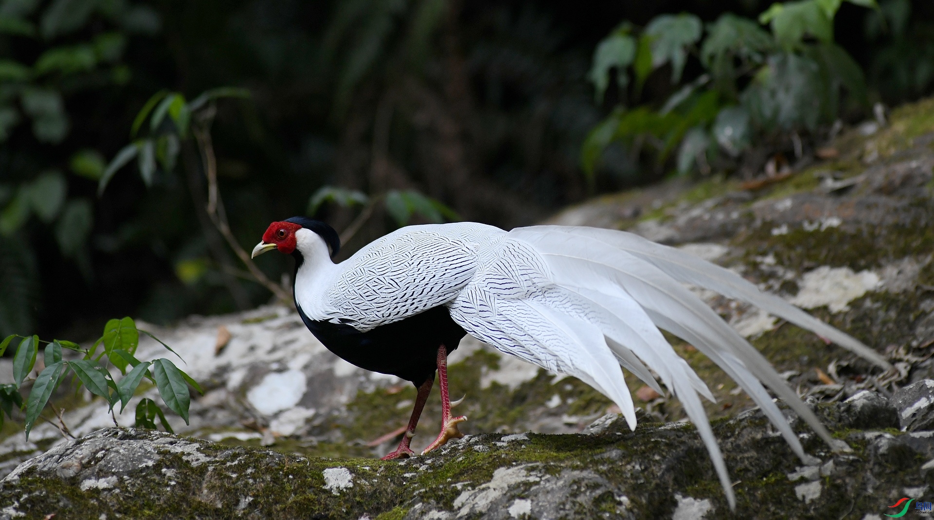 DSC_3062.jpg