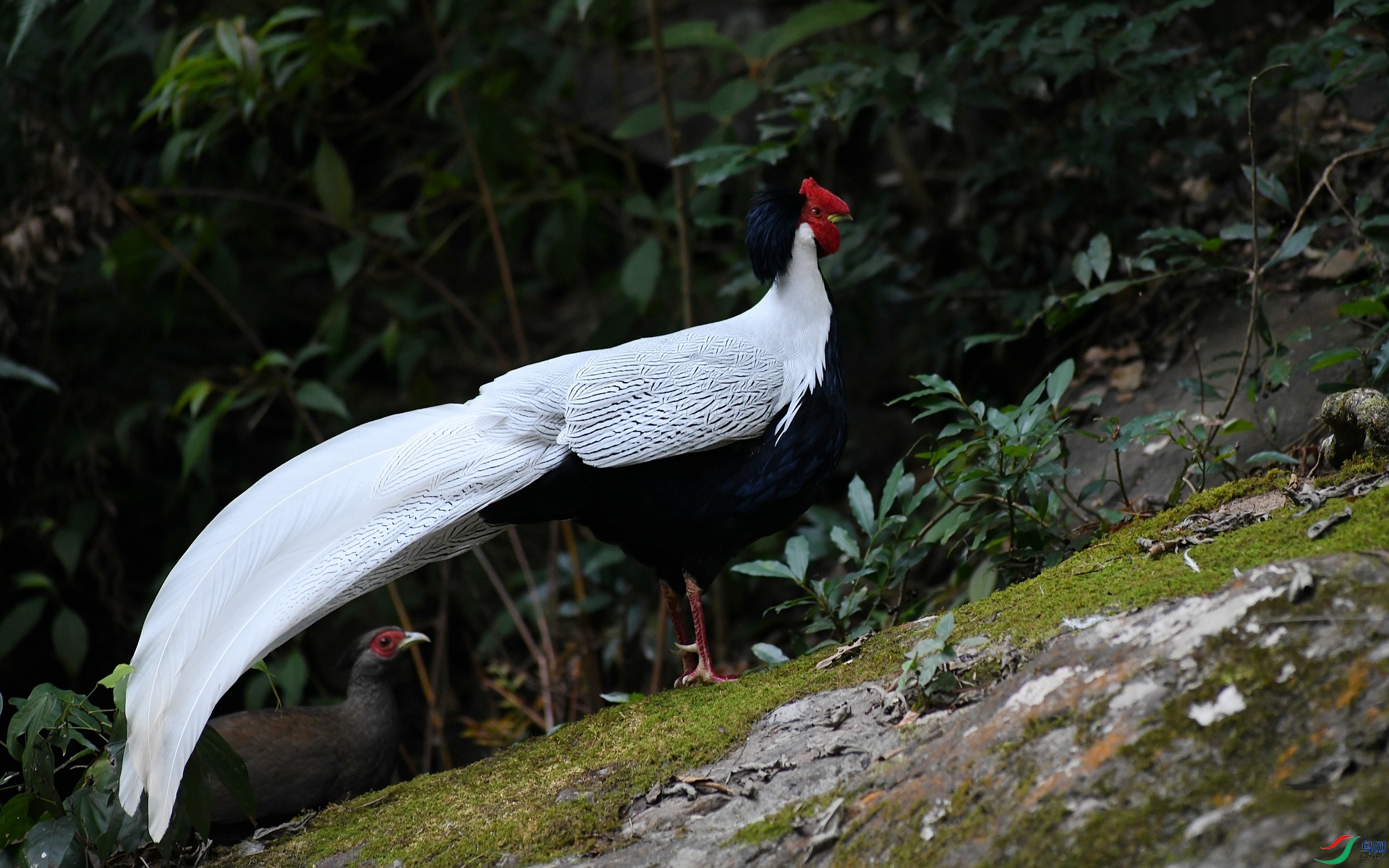 DSC_2962.jpg