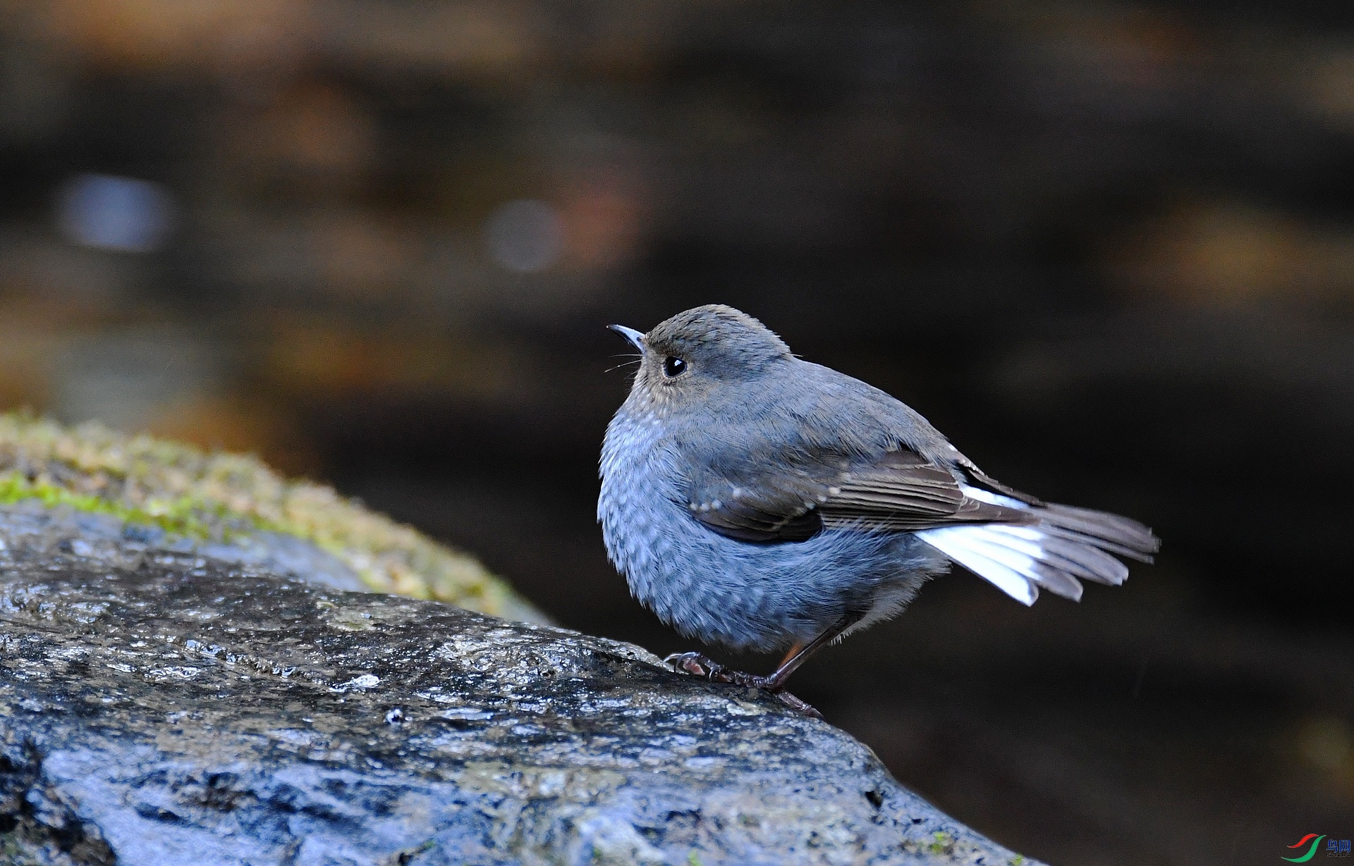 DSC_5058.jpg