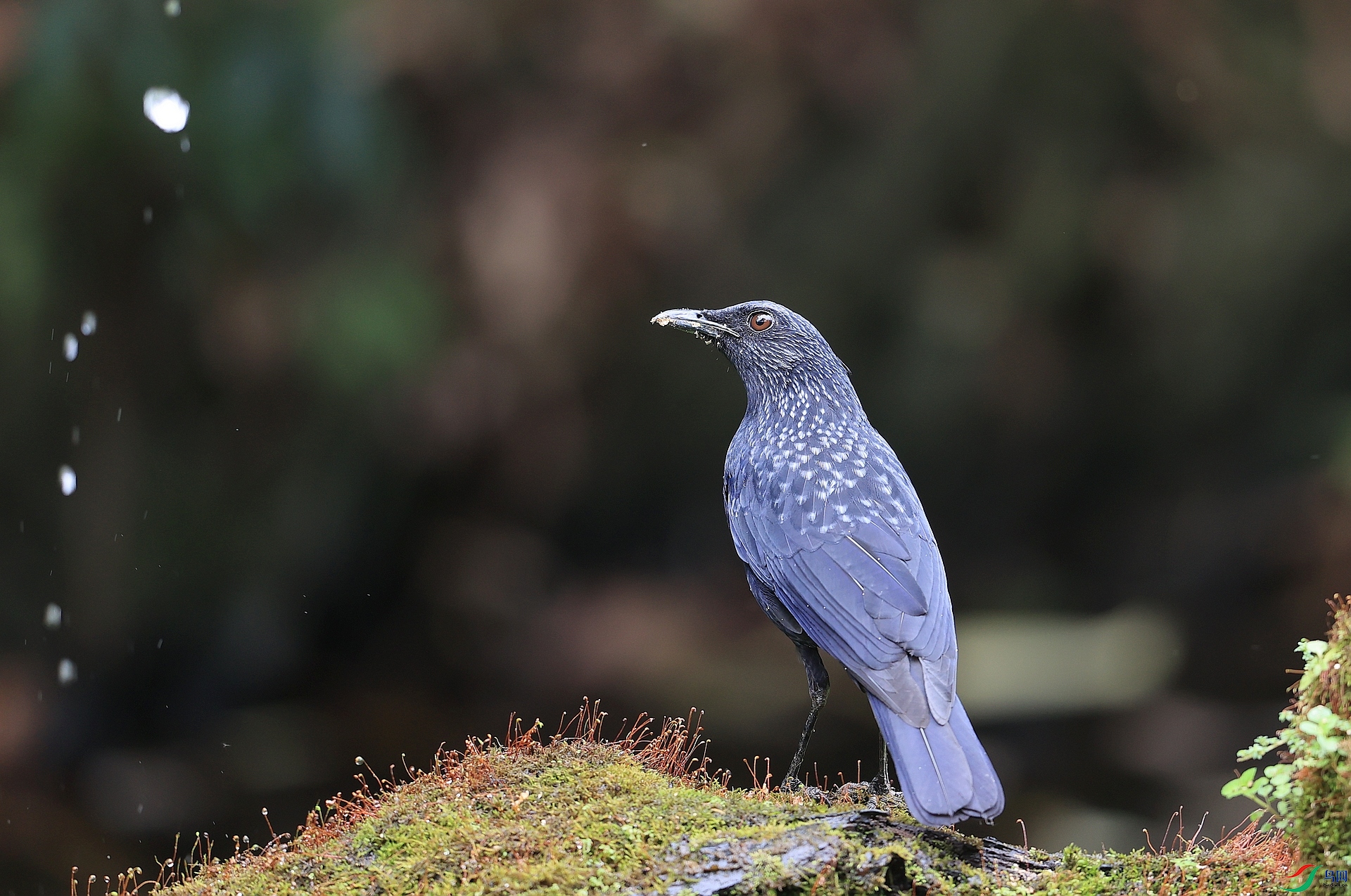 AK1I6819�� ��2.JPG