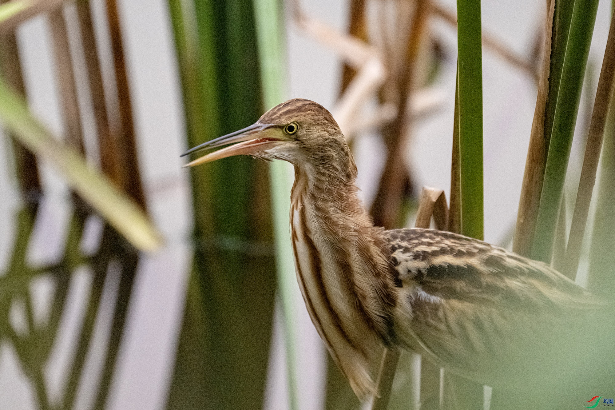 DSC_5183.jpg