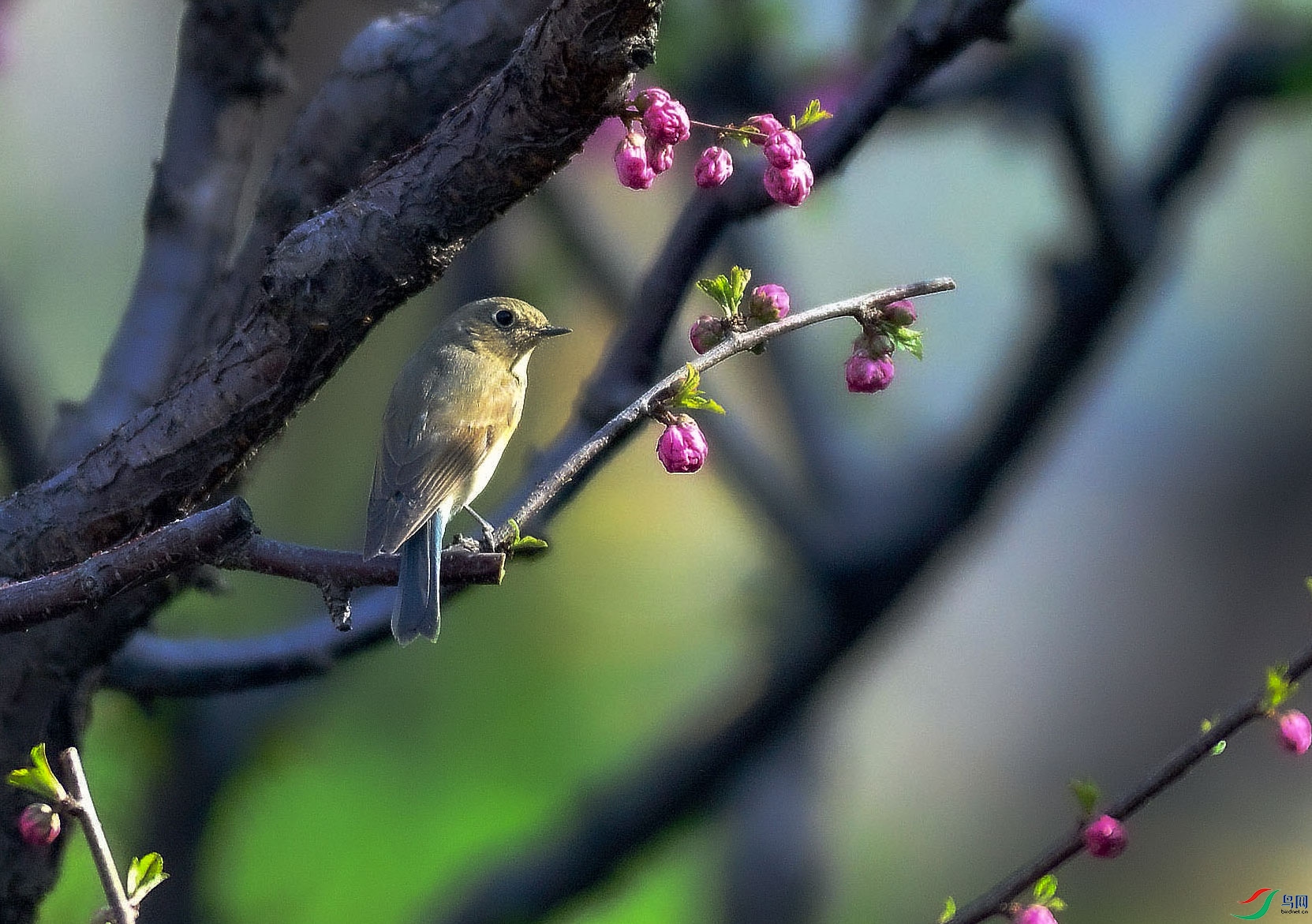 PPN_2299   ��_2.jpg