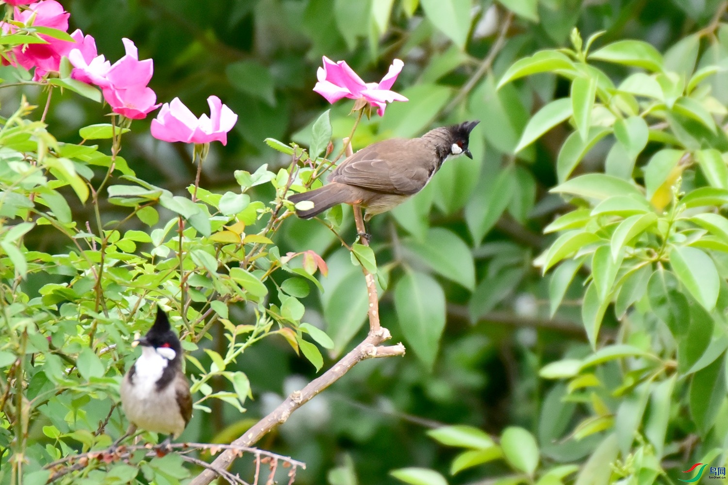 DSC_2836.JPG