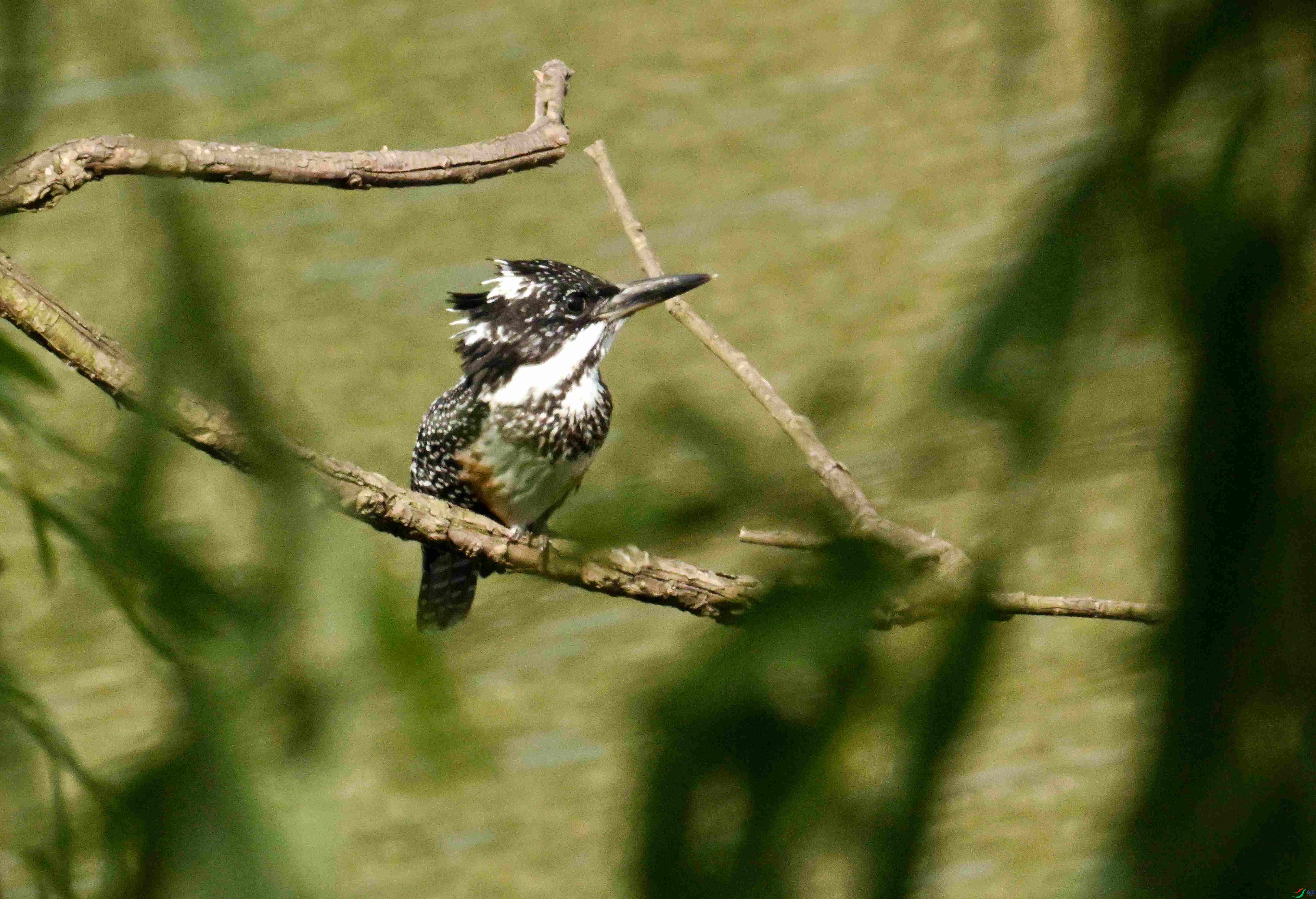DSC_7329.JPG