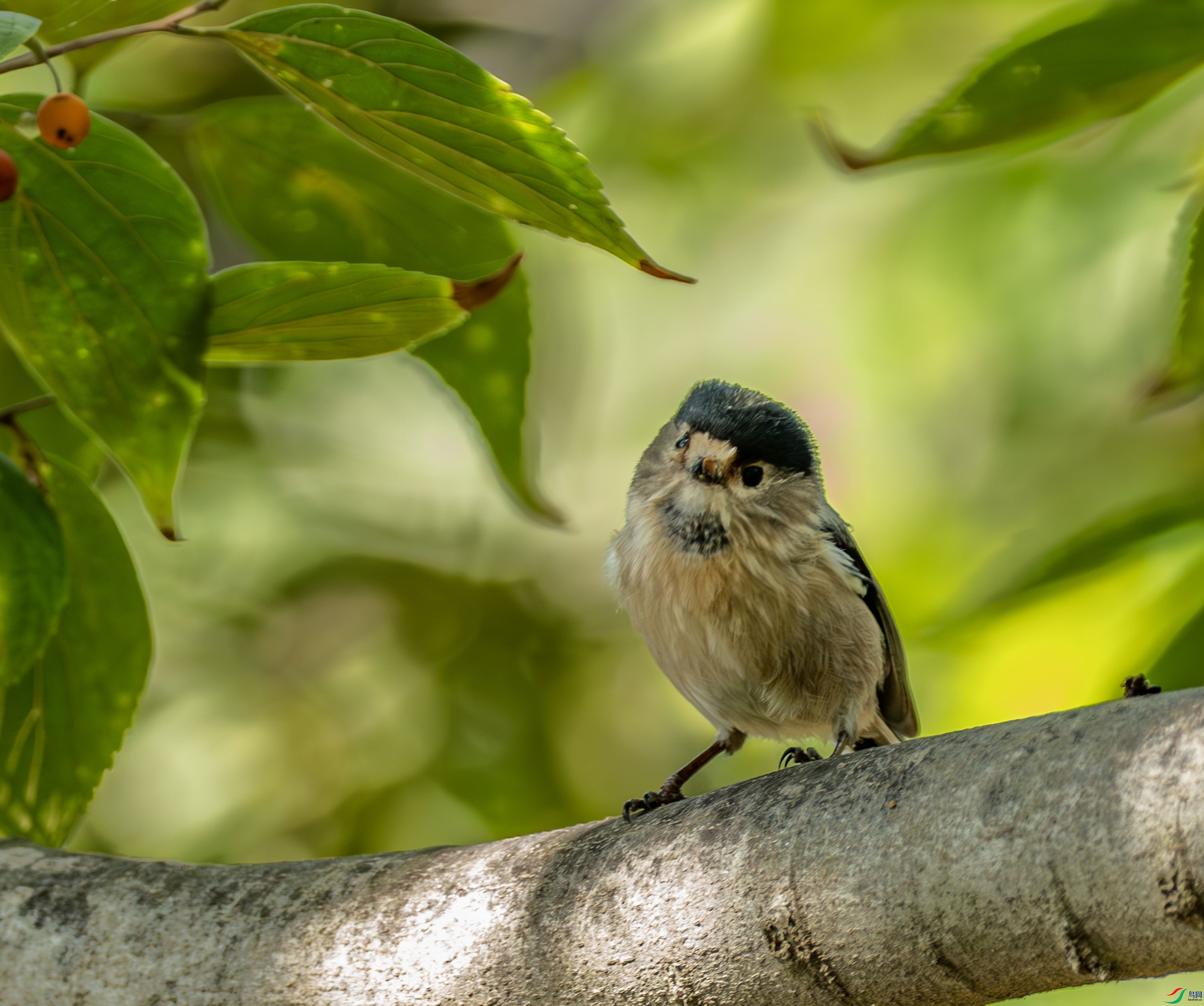 ������βɽȸ -1-22.jpg