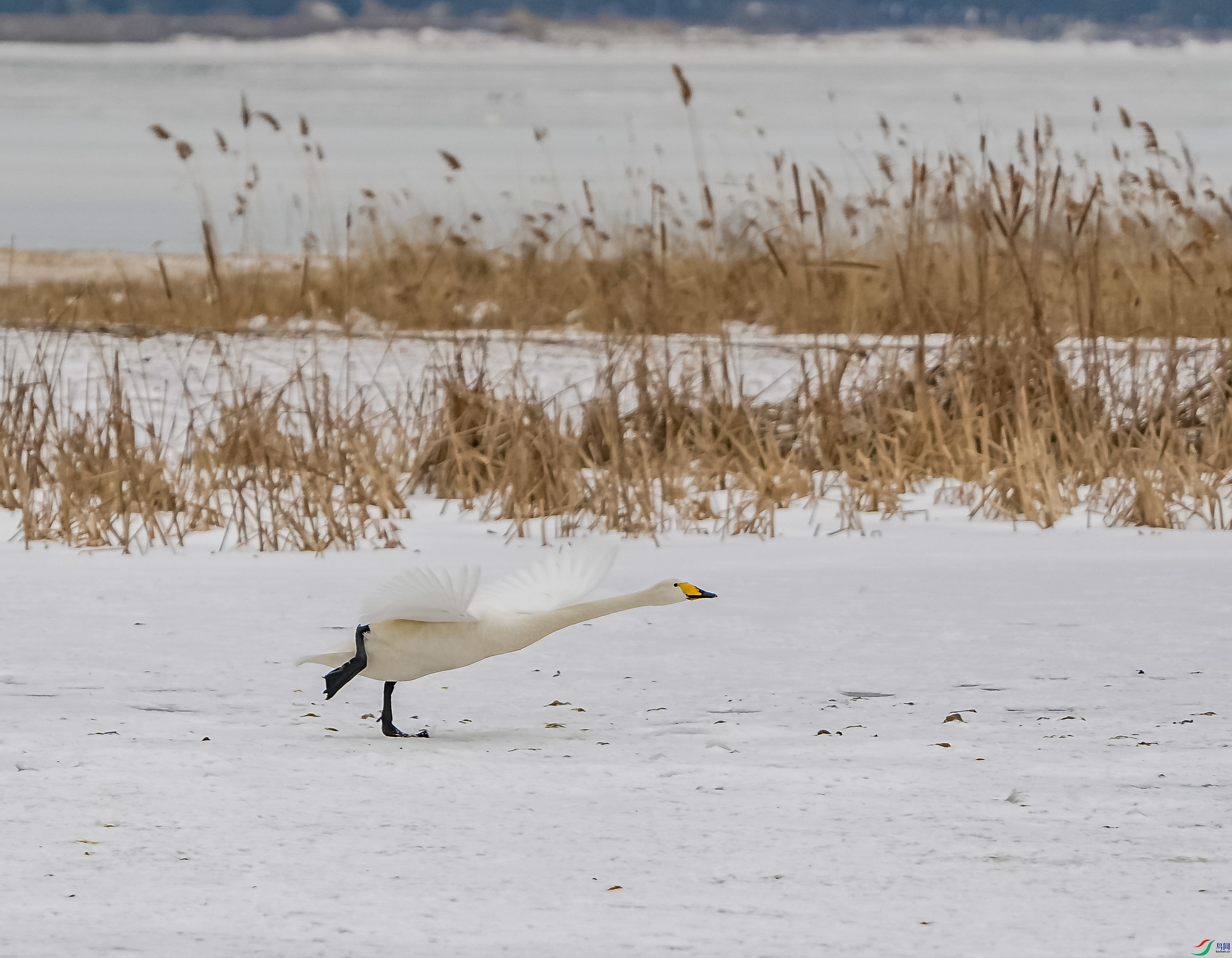 �����-21 (2).jpg