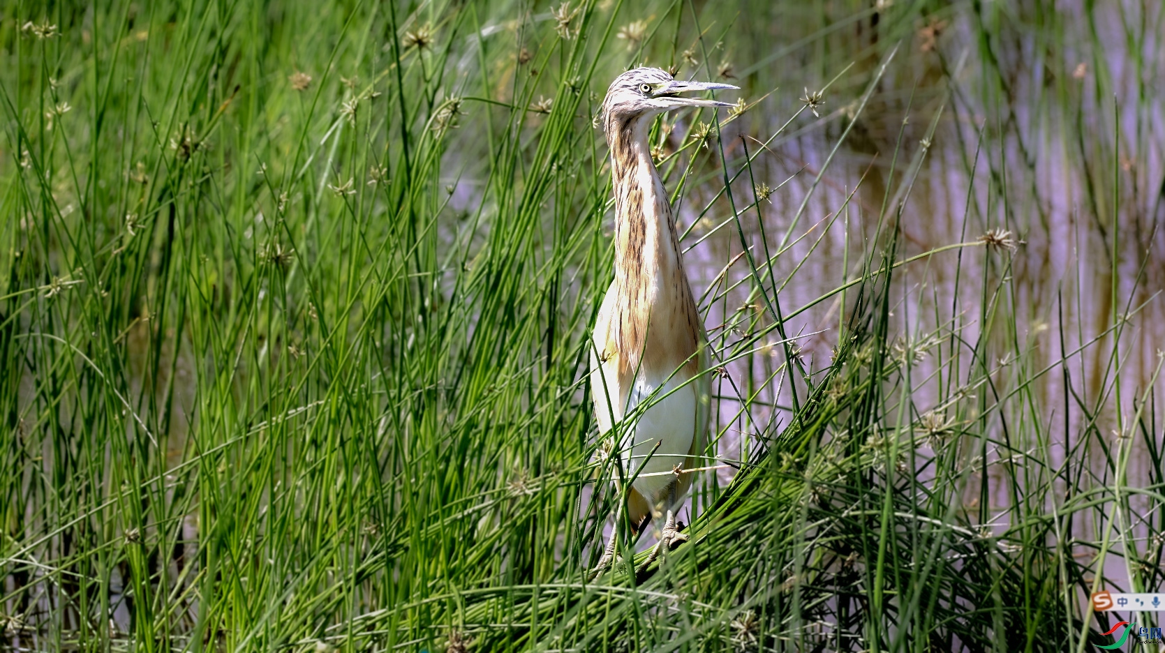 ΢��ͼƬ_20250815143849 ����.jpg