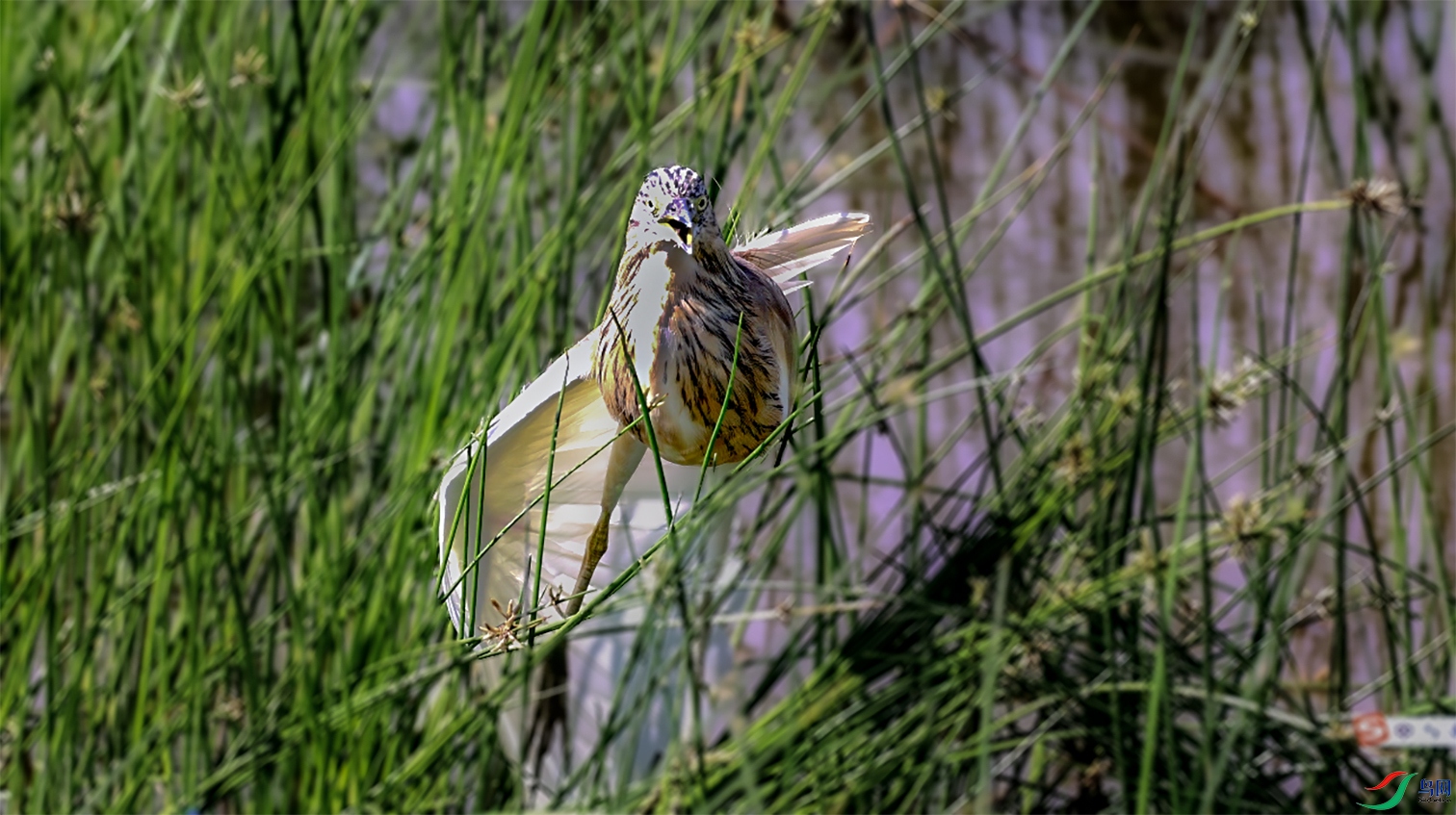 ΢��ͼƬ_20250815143756 ����.jpg