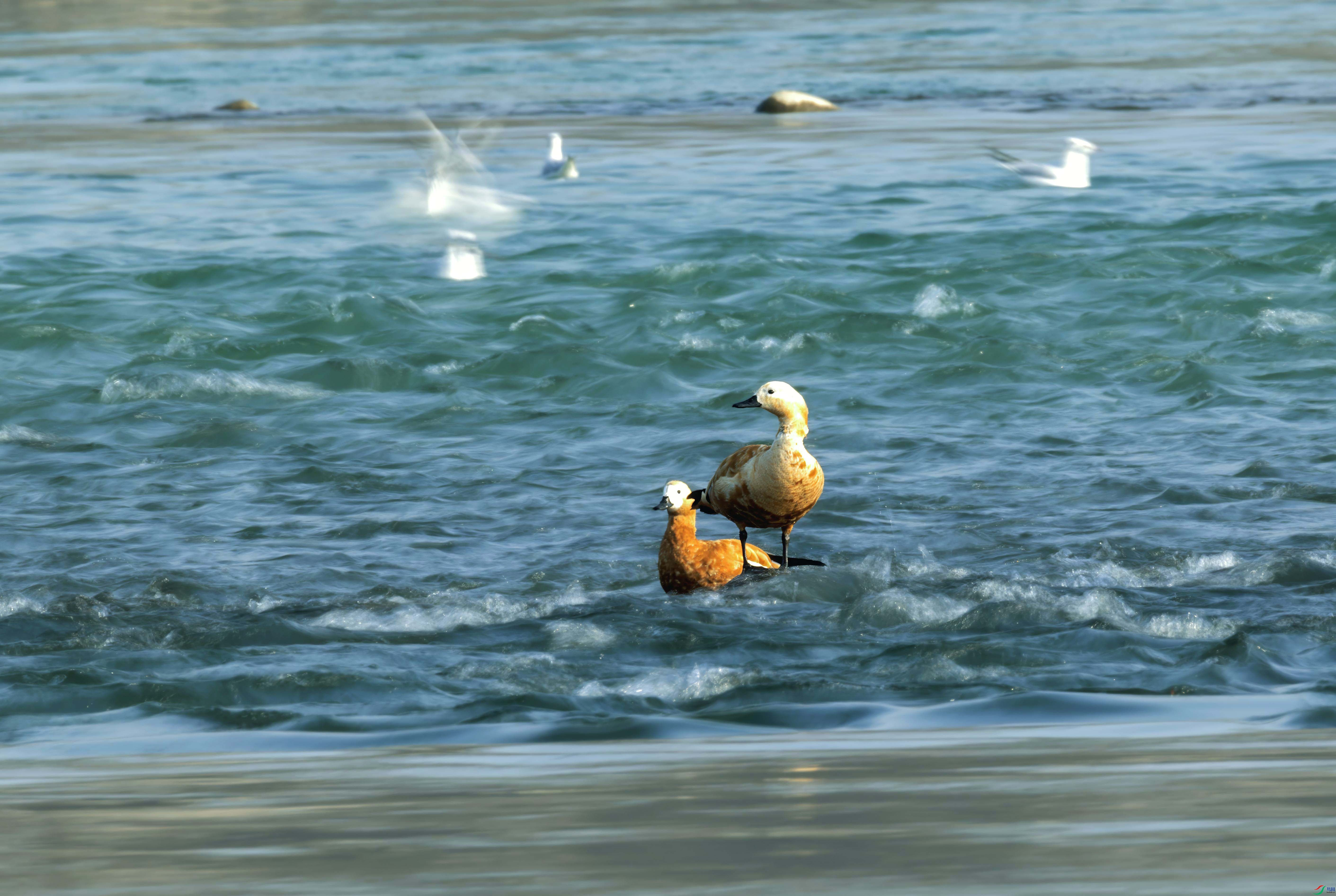 5N9A9657 ���� 3.jpg