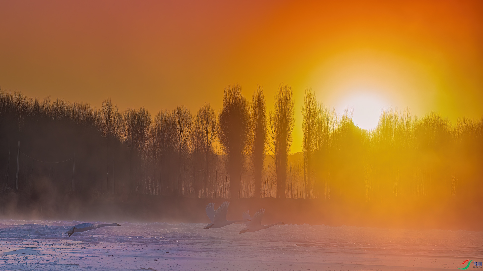 DSC_6337-1xx.jpg