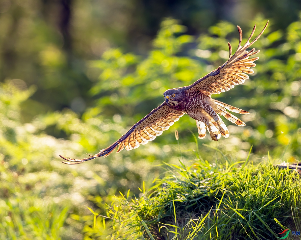 �Ϳջ���һһ������