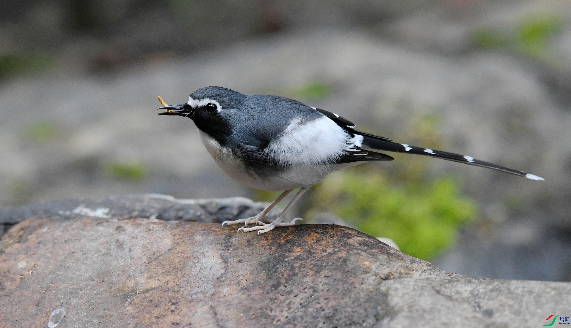 DSC_6829.jpg